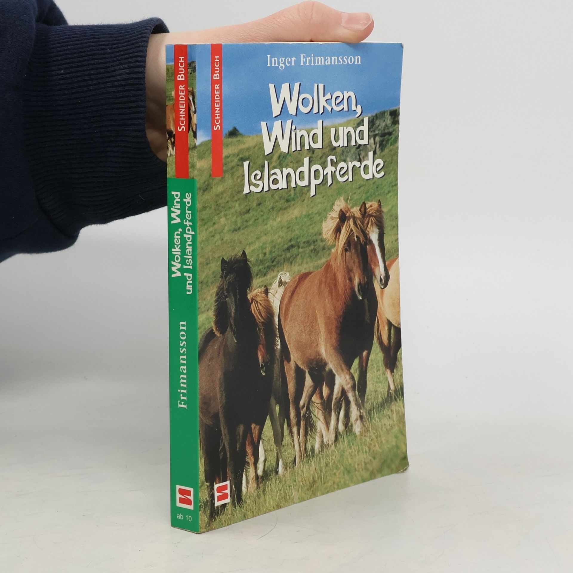 Wolken, Wind und Islandpferde