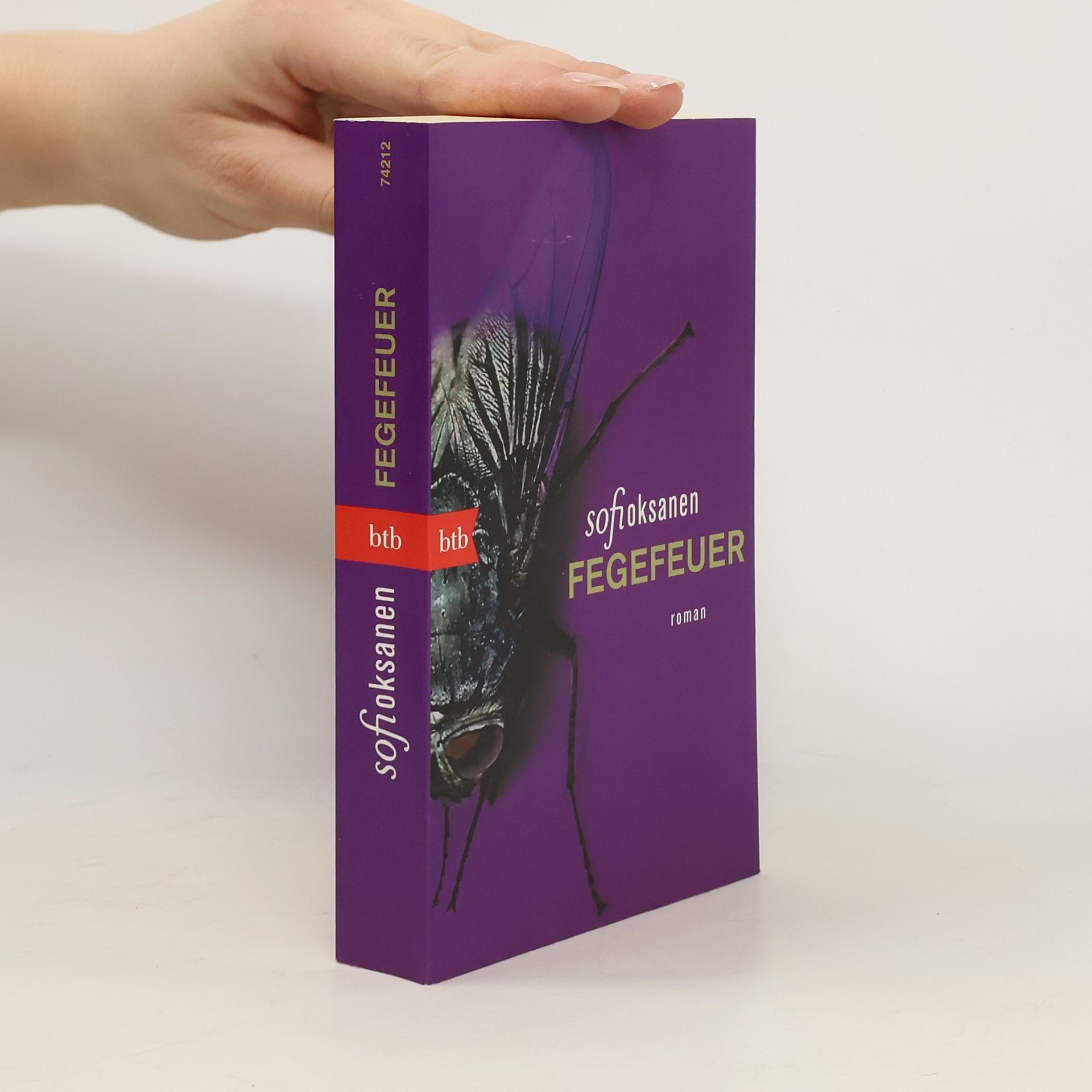 Sofi Oksanen Fegefeuer