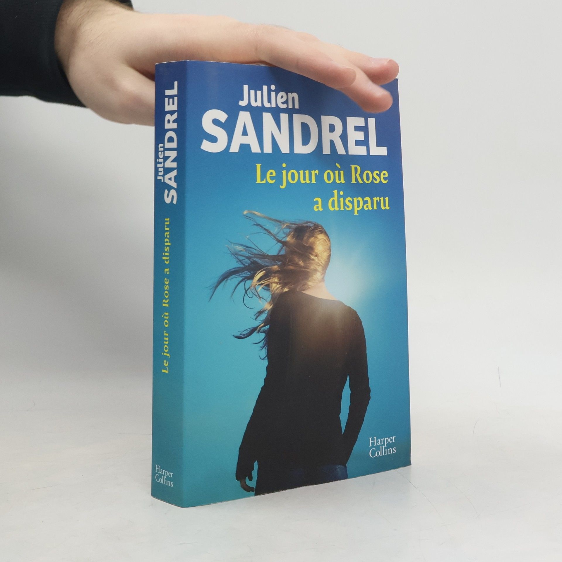 Le jour où Rose a disparu