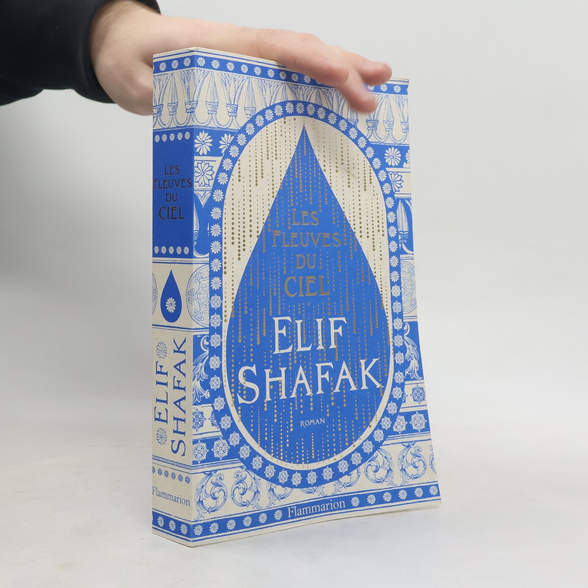 Dominique Goy-Blanquet Les fleuves du ciel