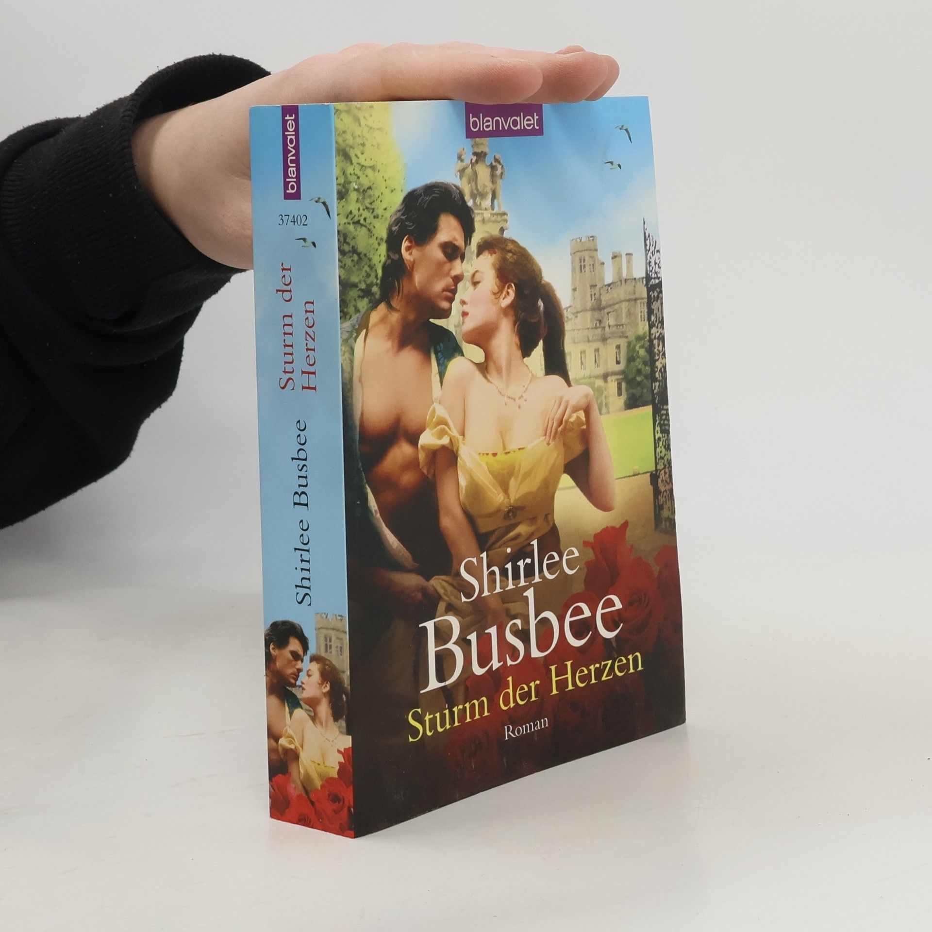 Shirlee Busbee Sturm der Herzen. Roman