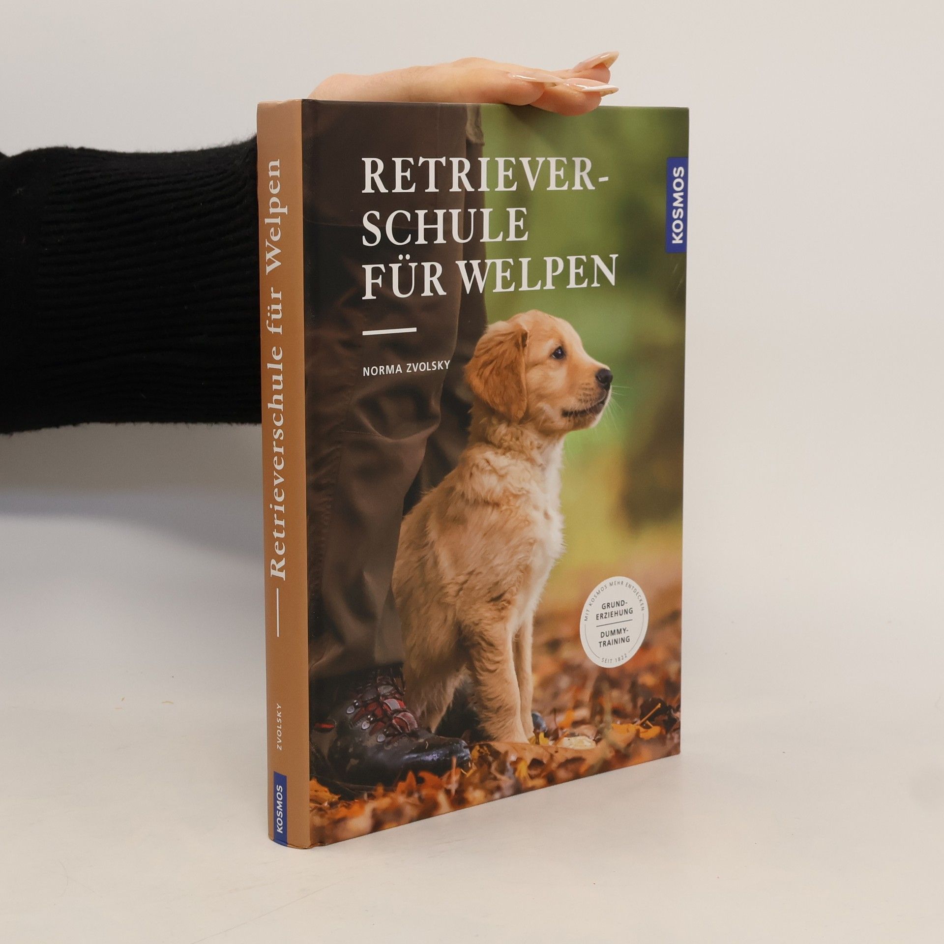 Retriever-Schule für Welpen