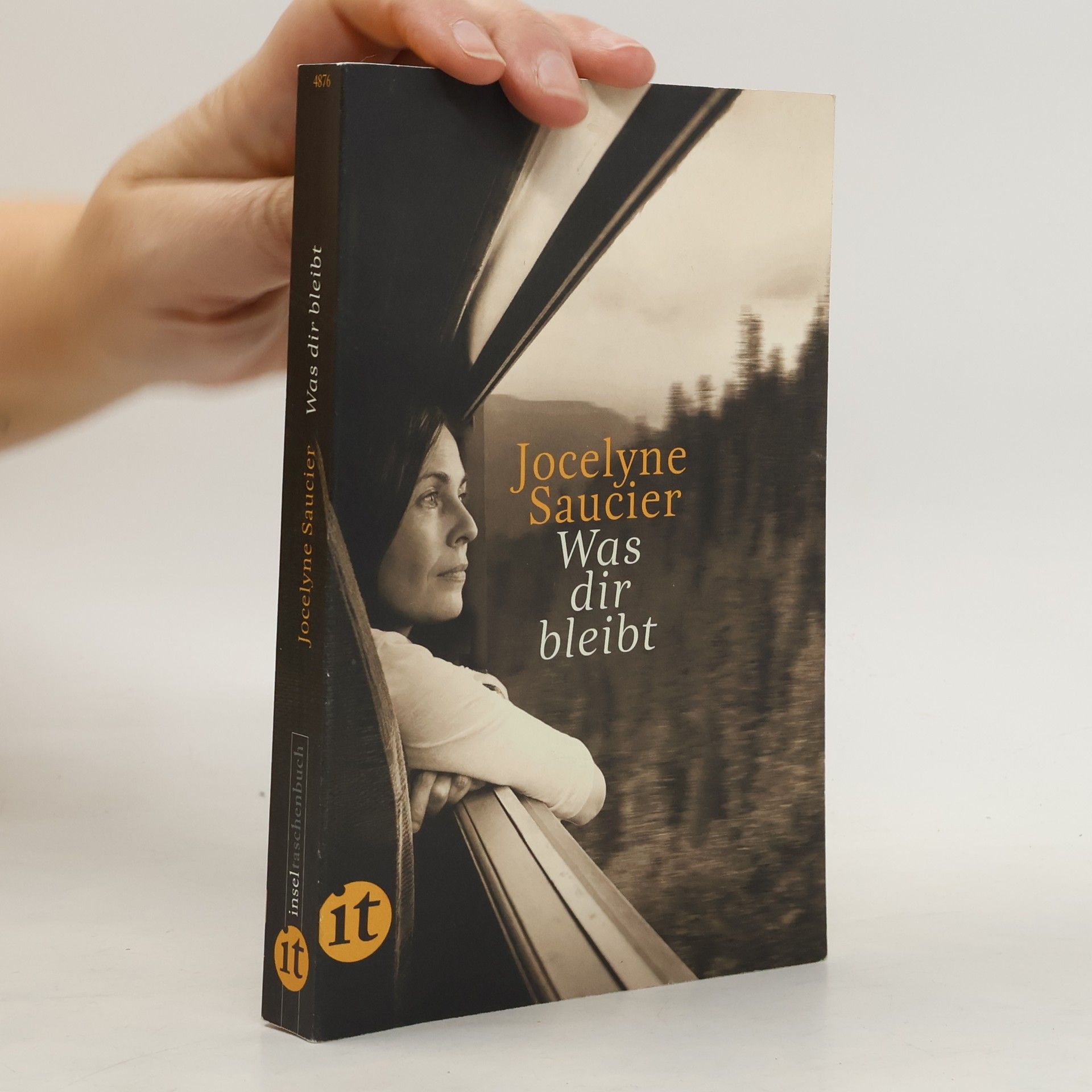 Jocelyne Saucier Was dir bleibt