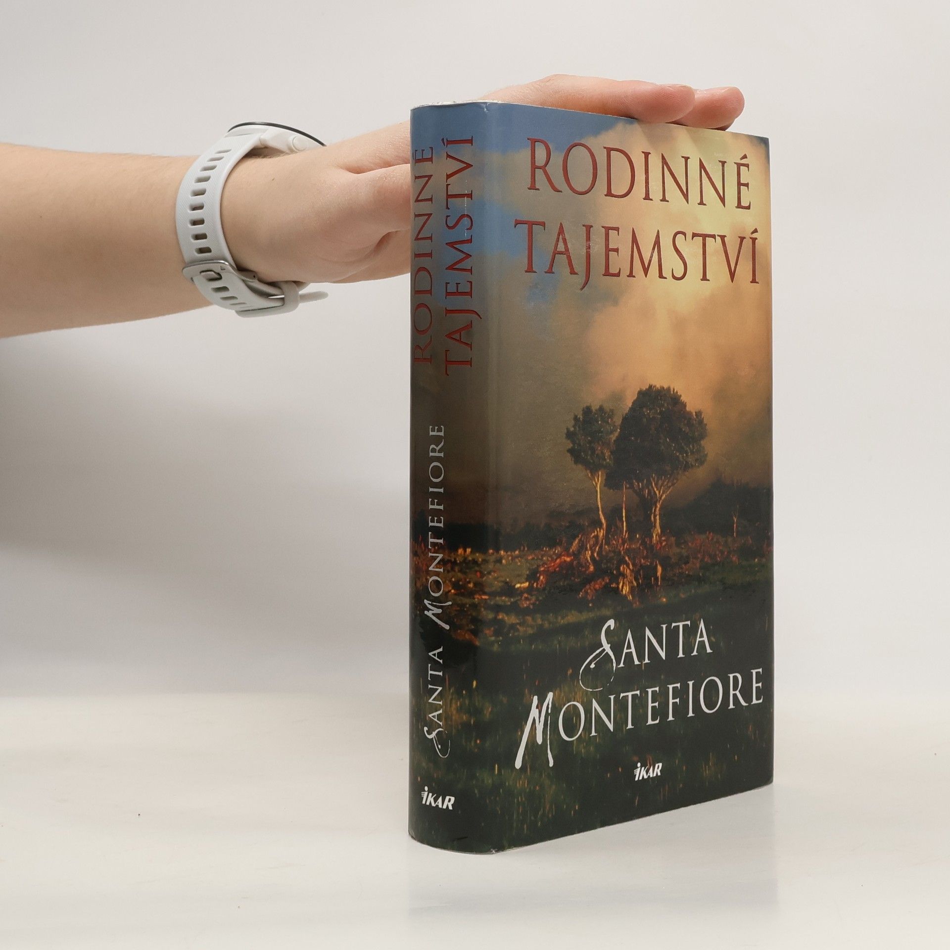 Santa Montefiore Rodinné tajemství