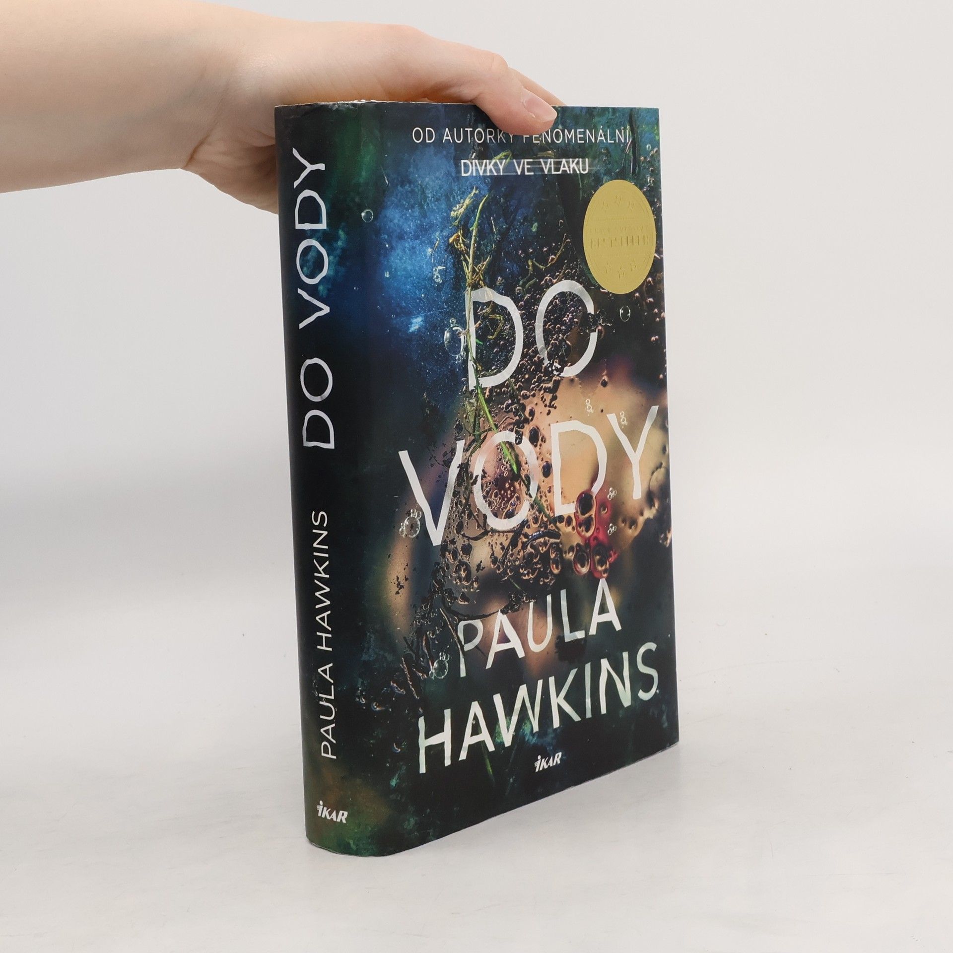 Paula Hawkins Do vody