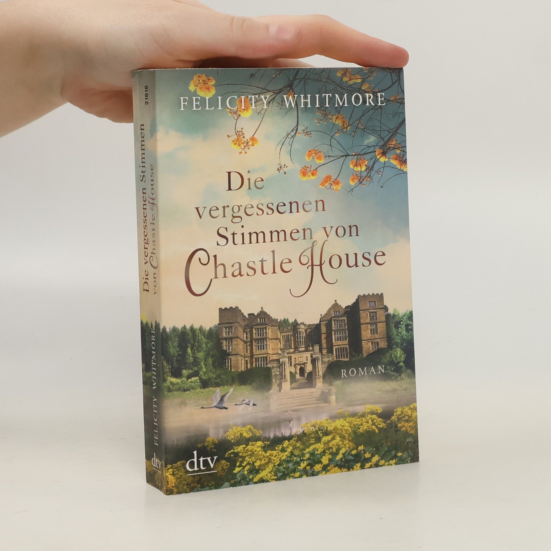 Felicity Whitmore Die vergessenen Stimmen von Chastle House