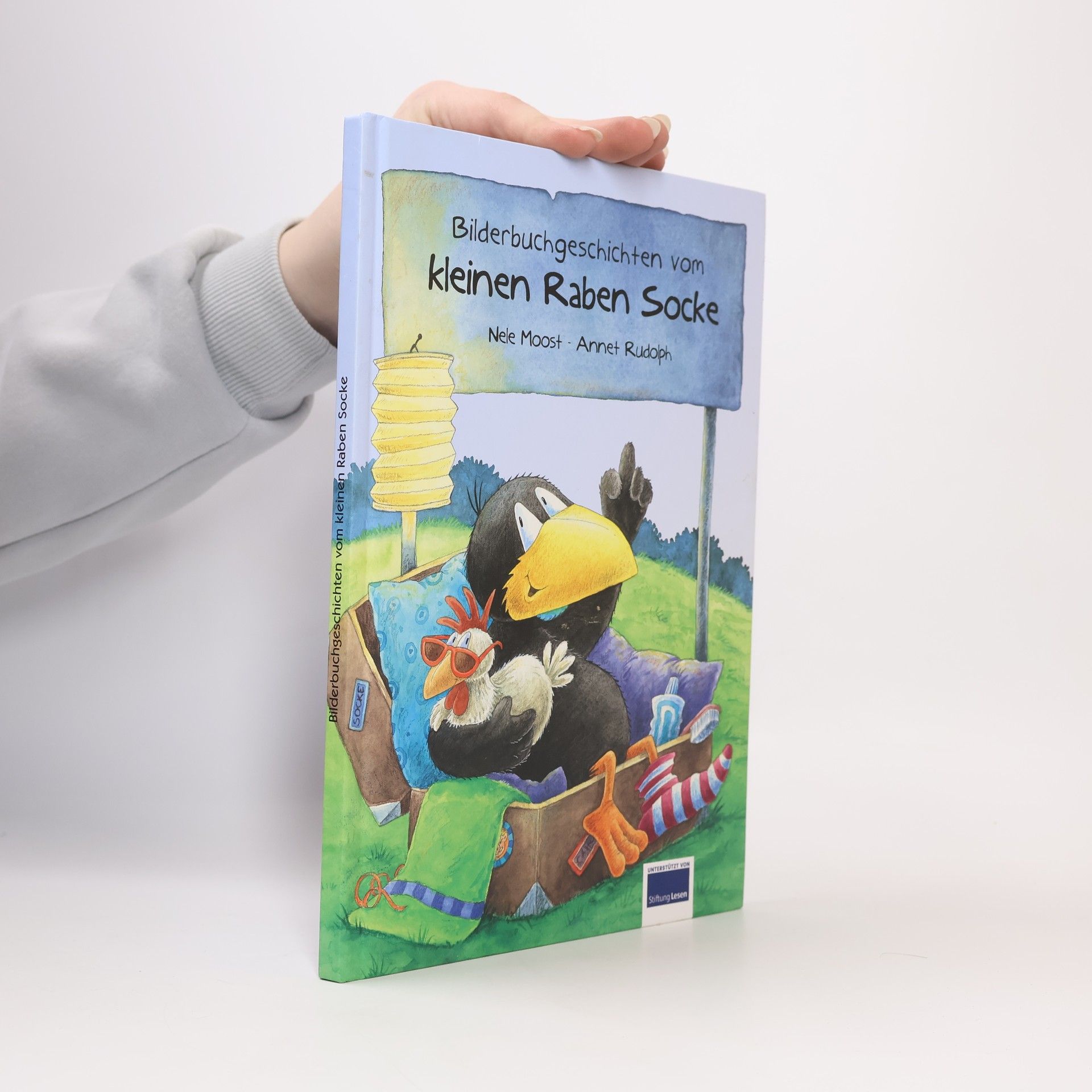 Nele Moost Bilderbuchgeschichten vom kleinen Raben Socke