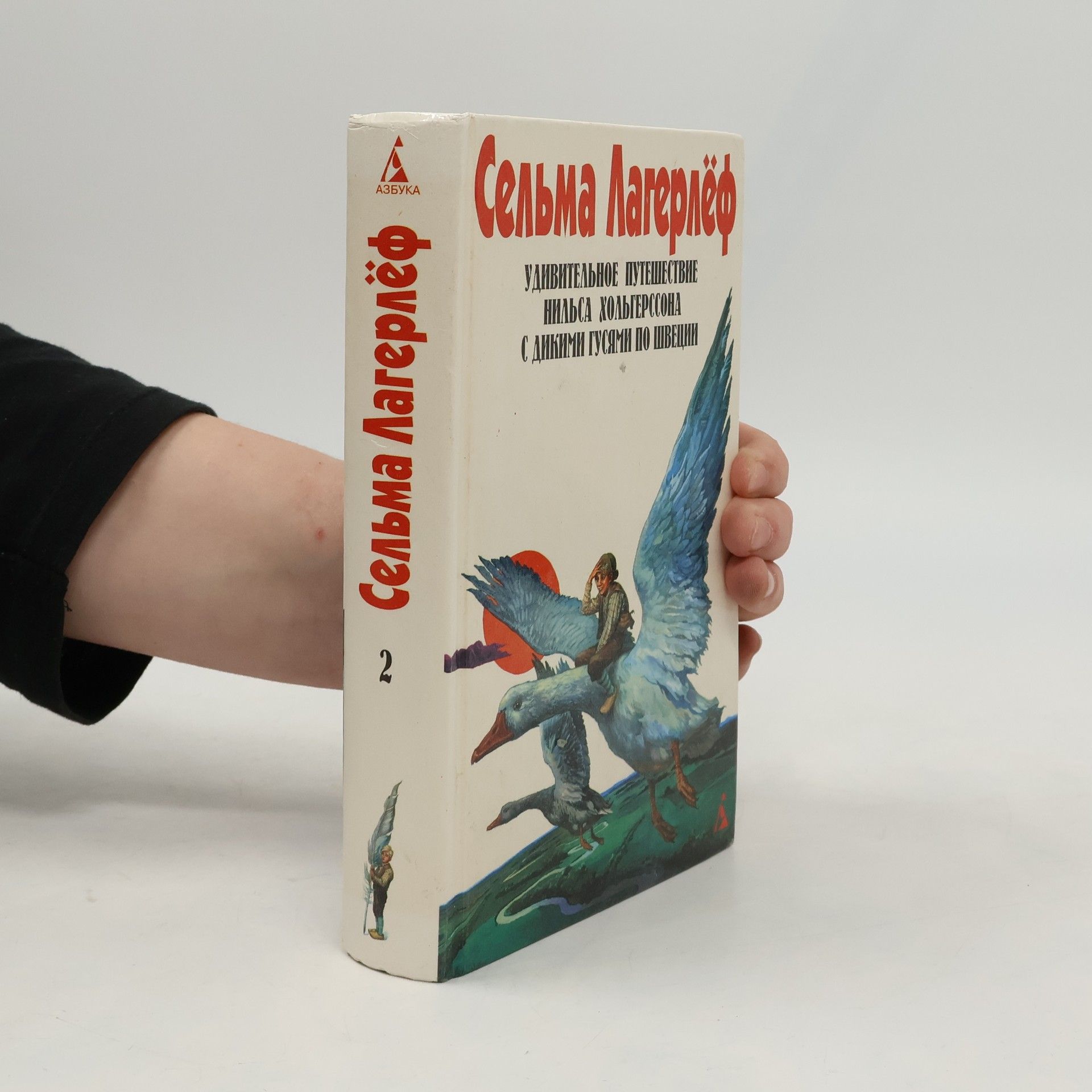 Удивительное путешествие Нильса Хольгерсона с дикими гусями по Швеции