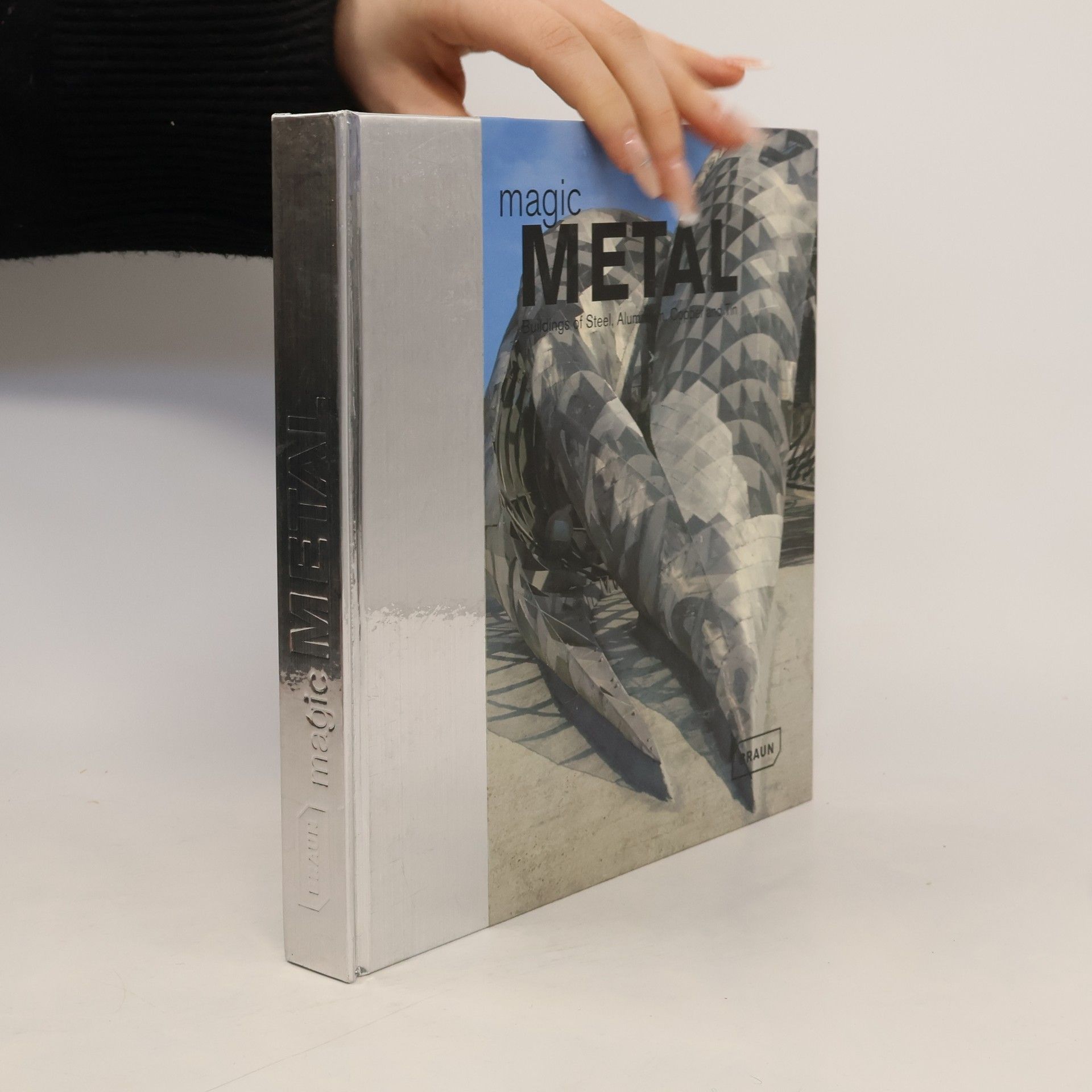 Dirk Meyhöfer Magic Metal