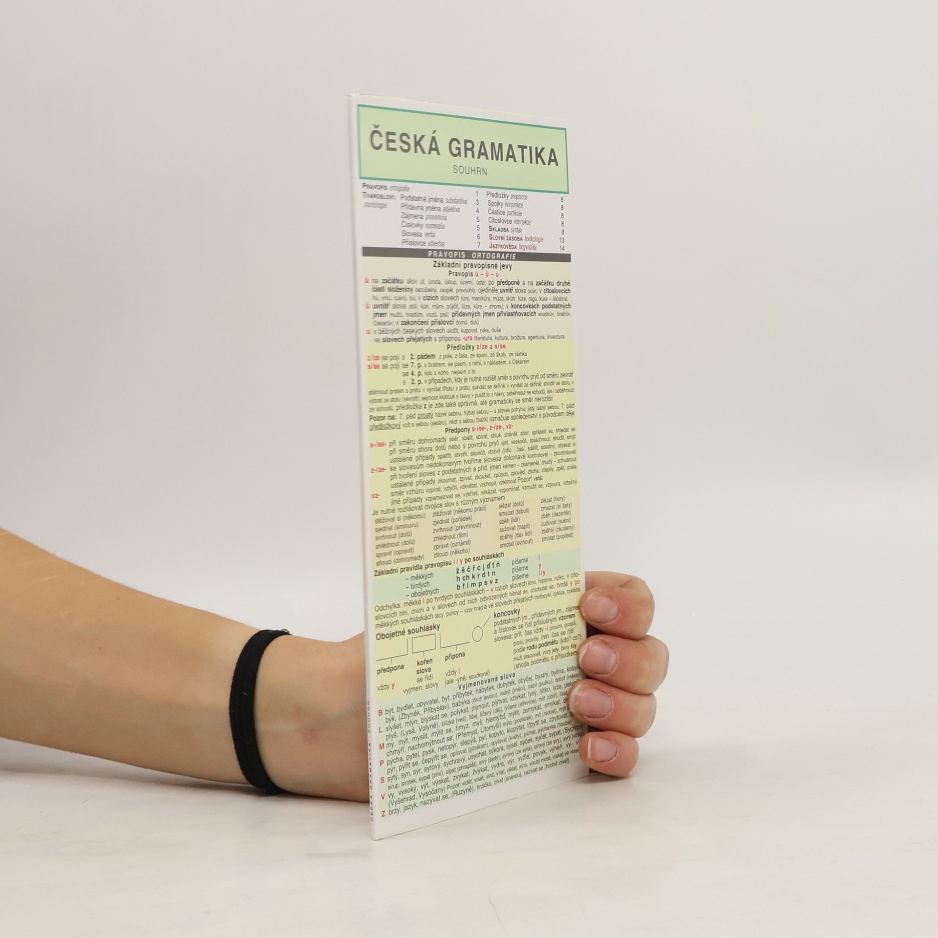 Kolektív autorov Česká gramatika – souhrn