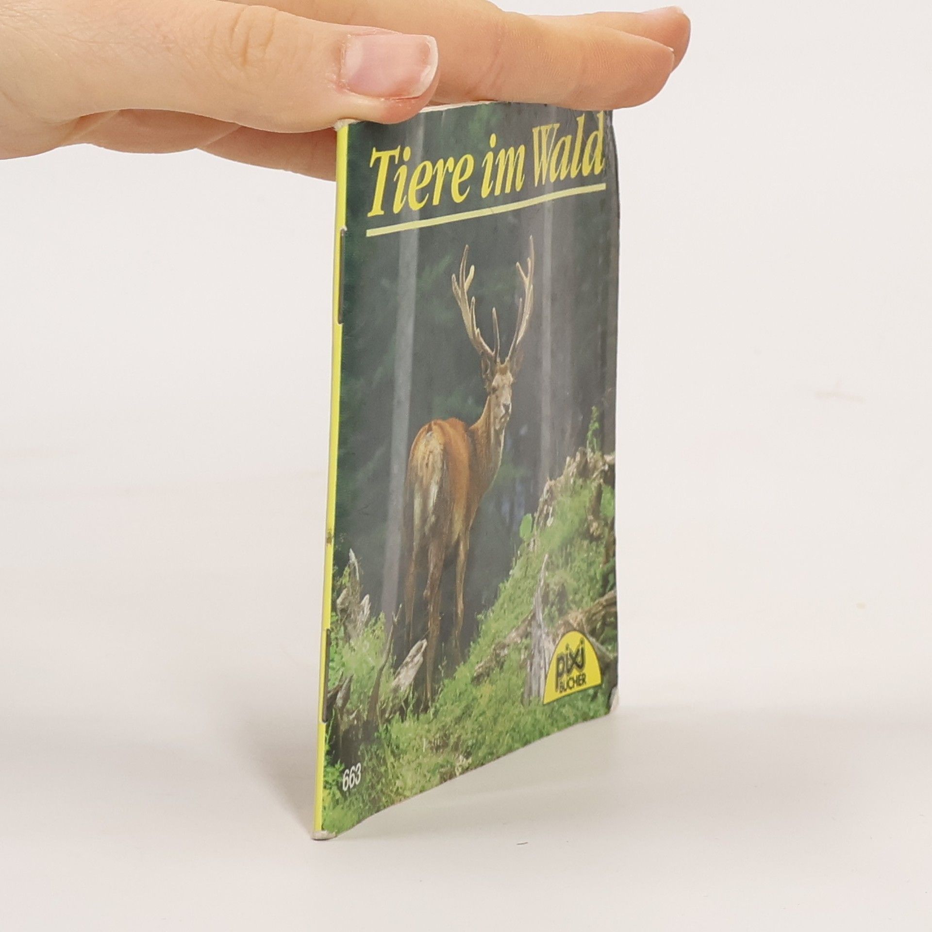 Andreas Fischer Tiere in unserem Garten