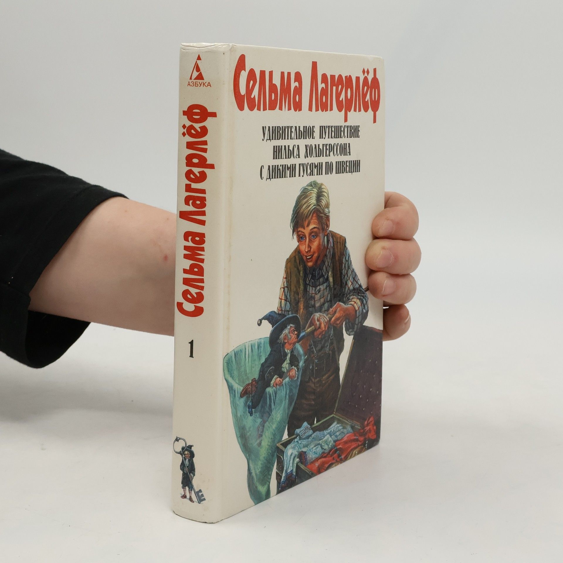 Удивительное путешествие Нильса Хольгерсона с дикими гусями по Швеции
