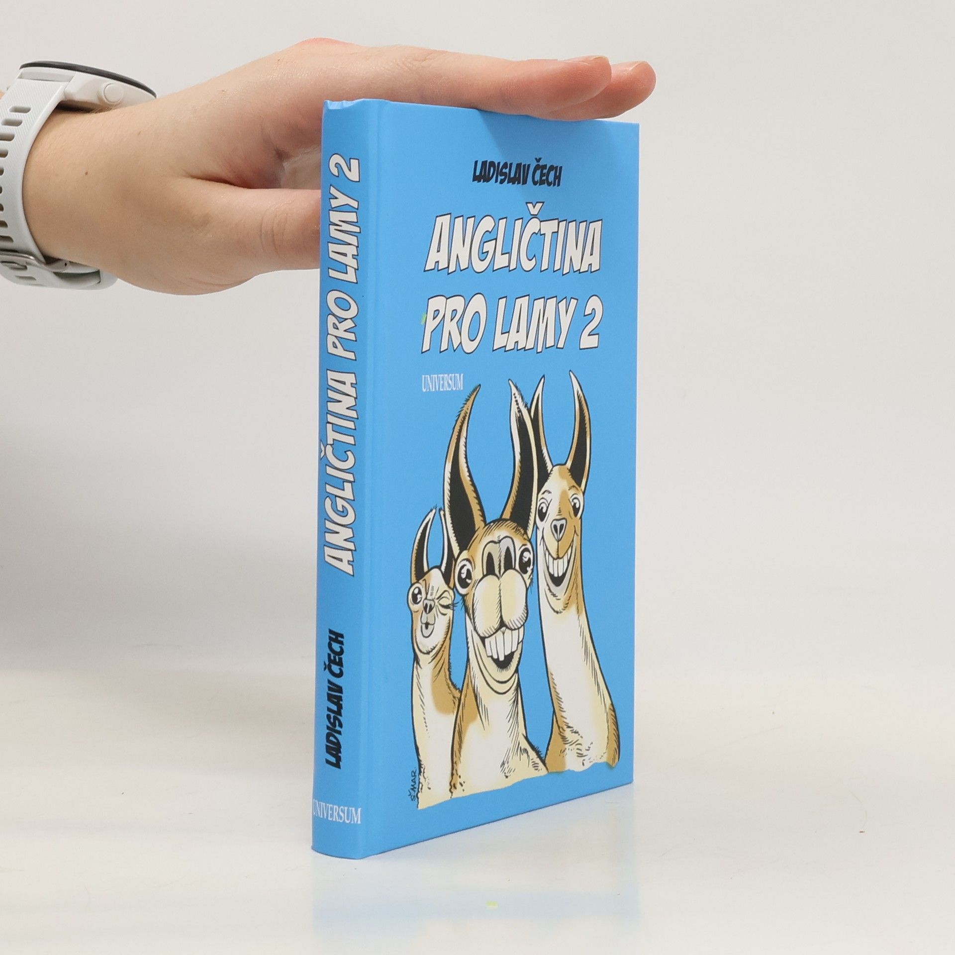 Angličtina pro lamy 2