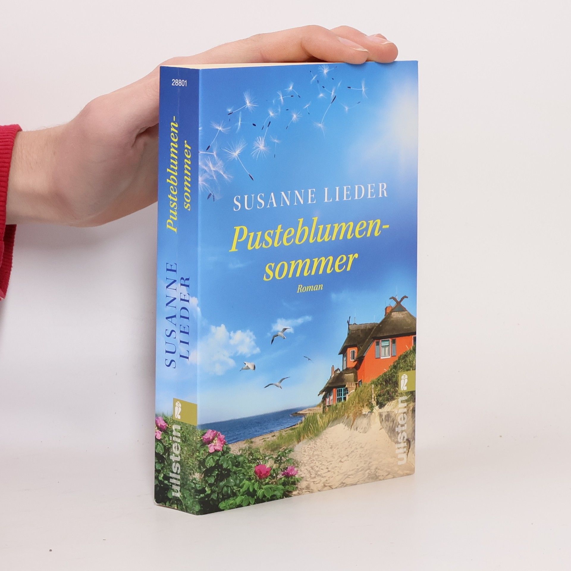 Susanne Lieder Pusteblumensommer