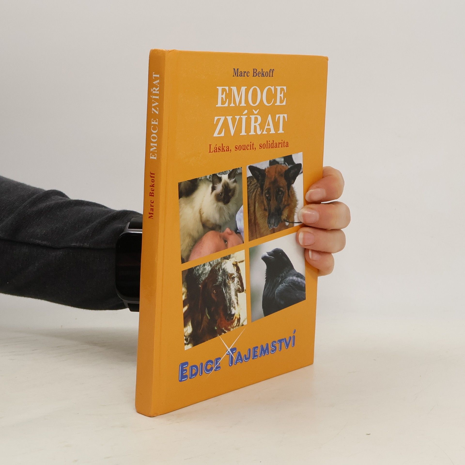 Emoce zvířat