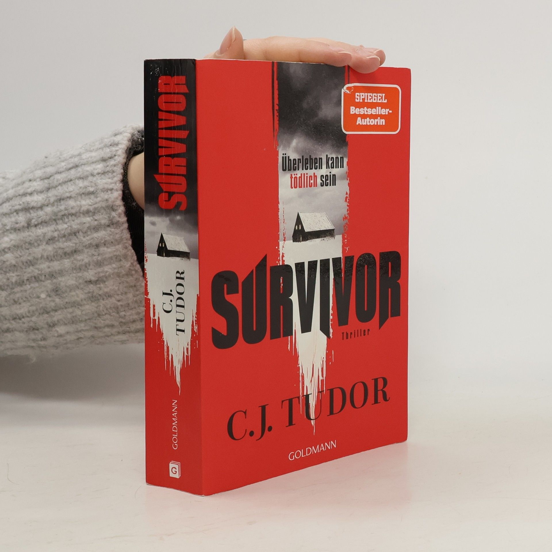 C.J. Tudor Survivor