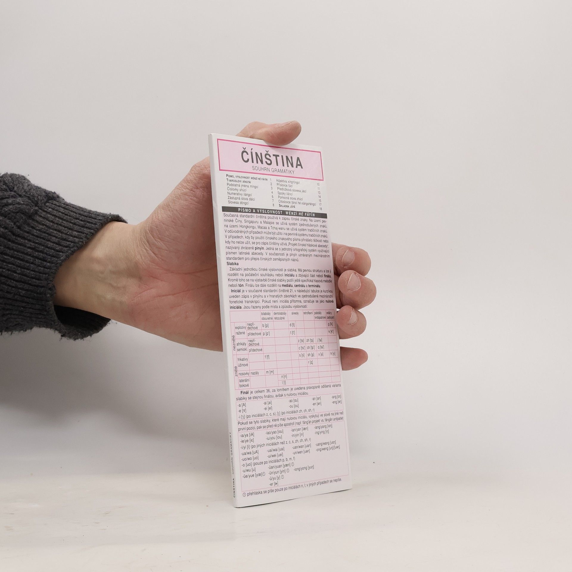 Collectif d'auteurs ČÍNŠTINA souhrn gramatiky