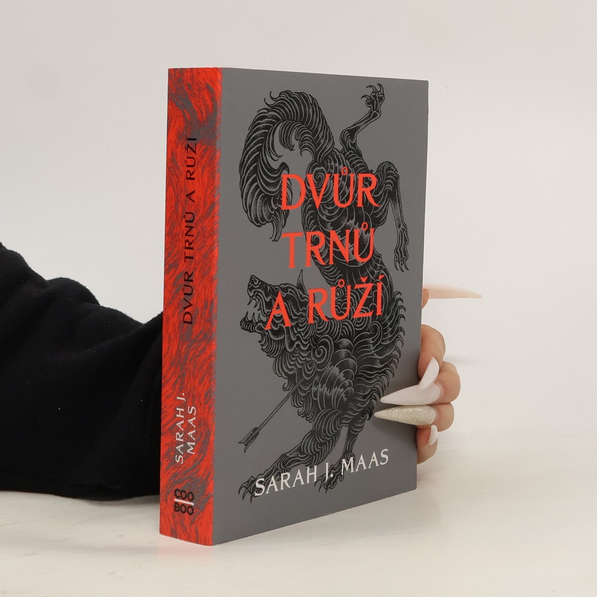 Sarah J. Maasová Dvůr trnů a růží