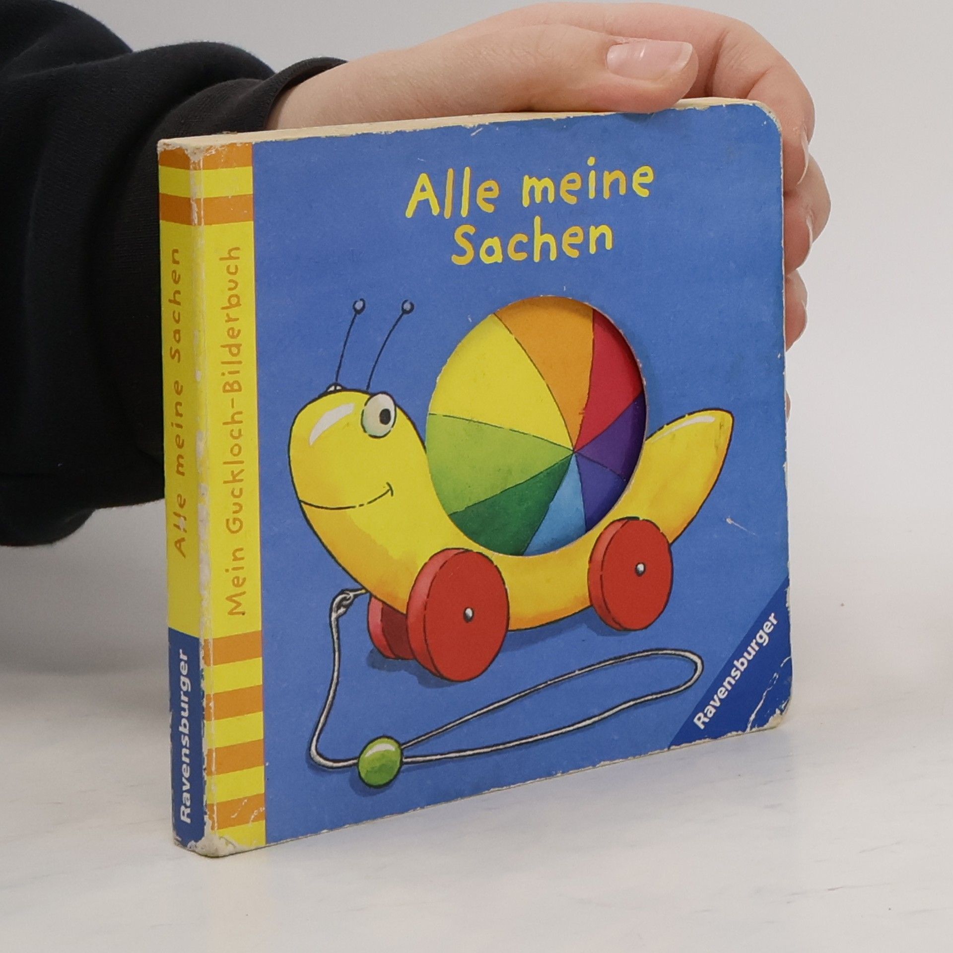 Katrin Merle Alle meine Sachen