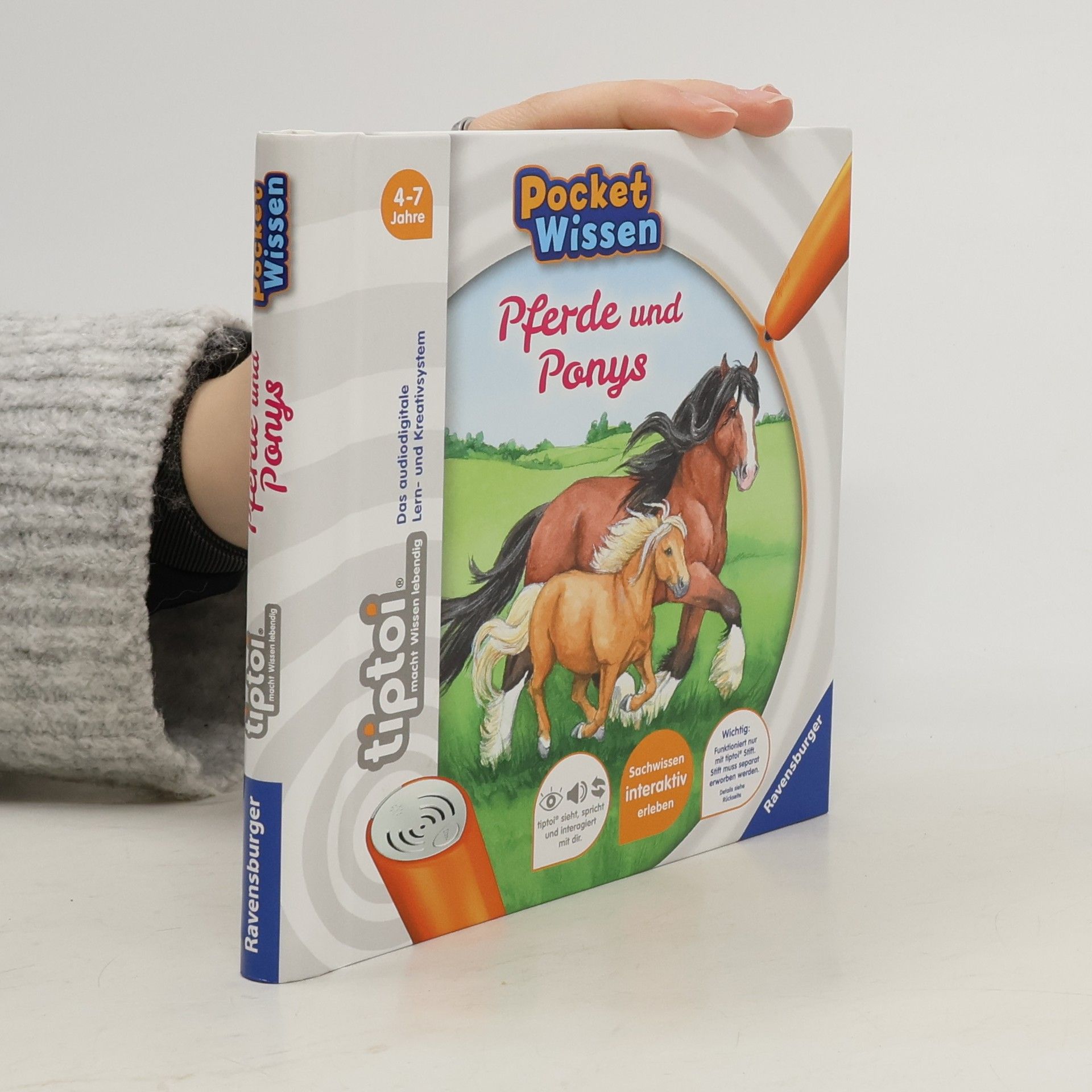 Yvonne Follert Pferde und Ponys