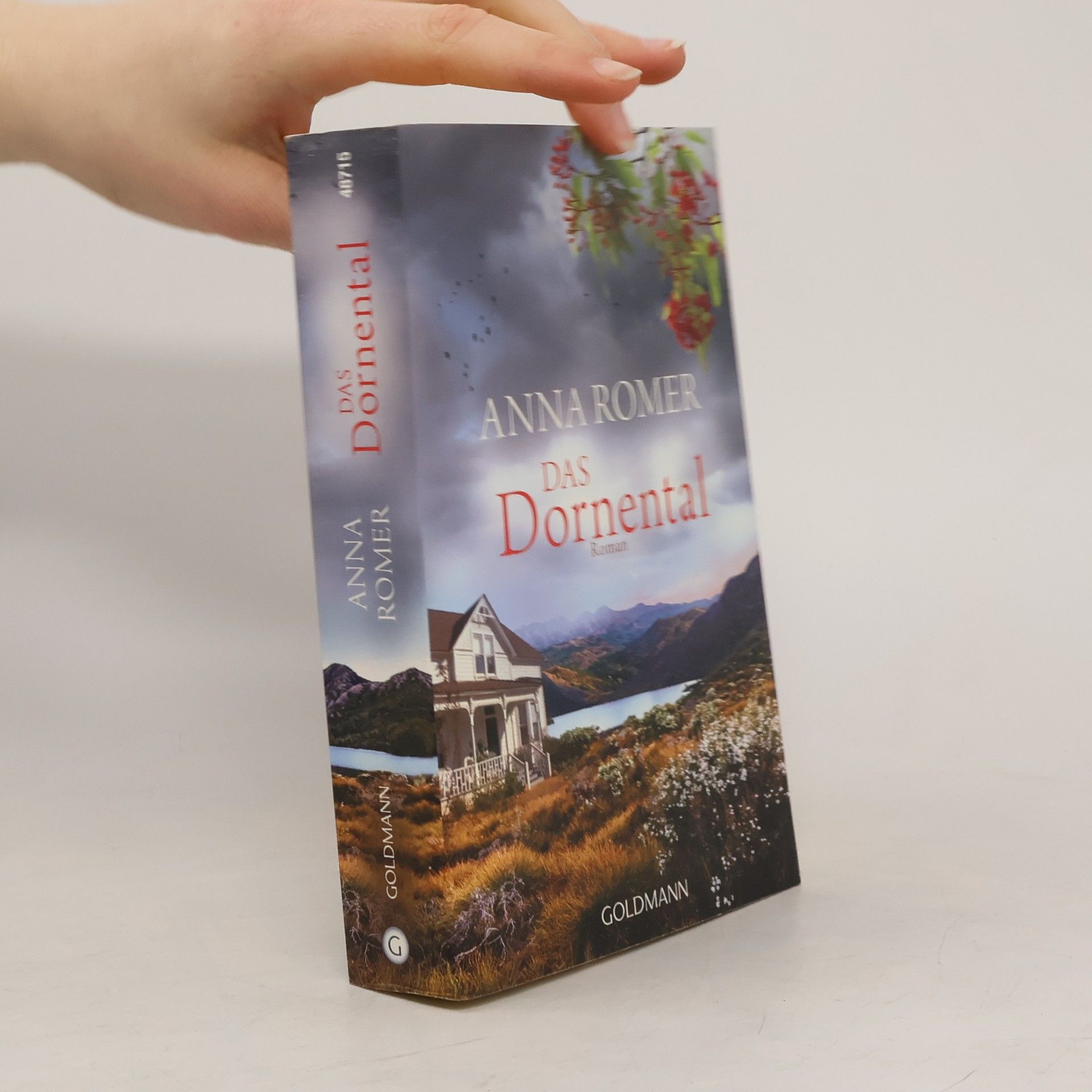 Roberto de Hollanda Das Dornental : roman