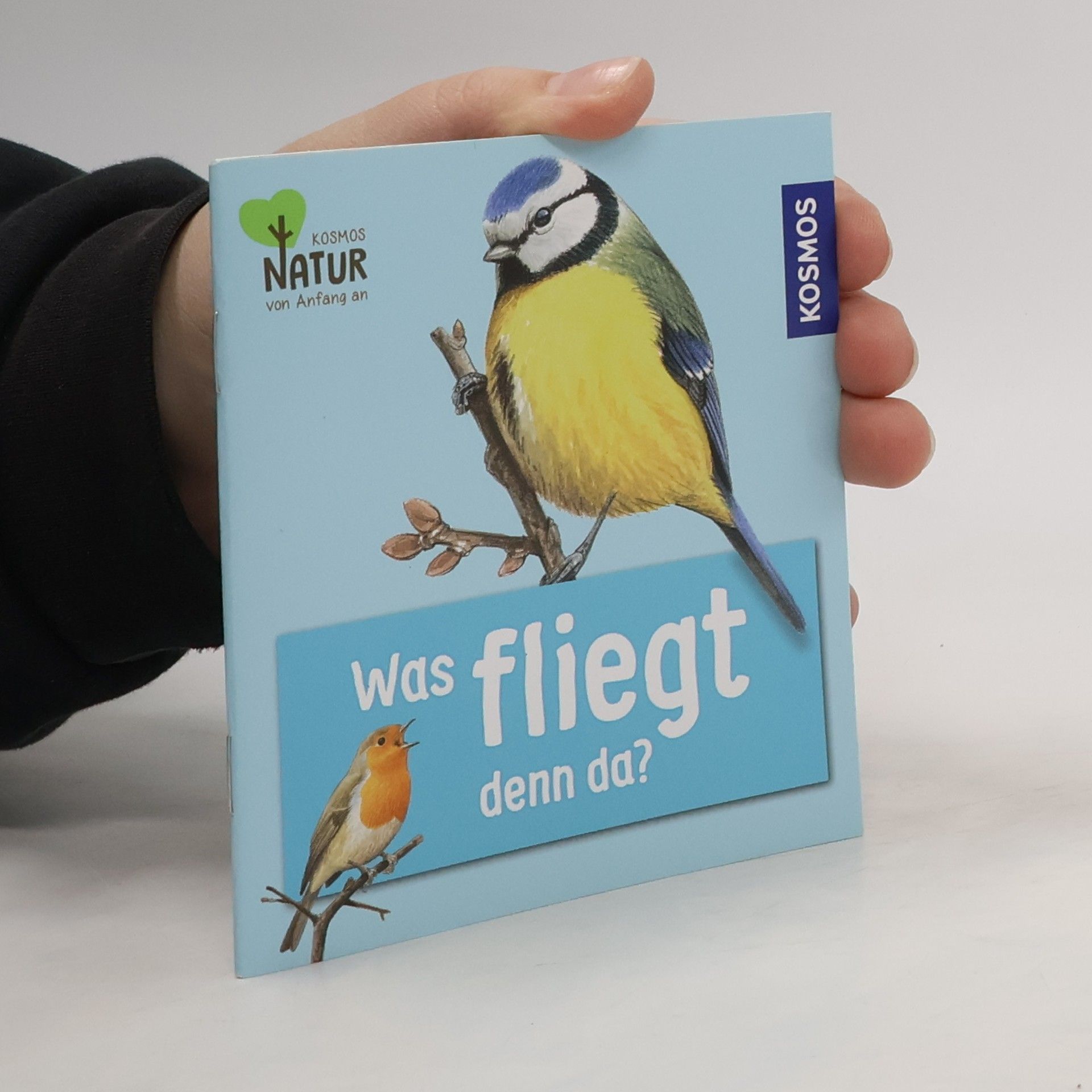 Was fliegt denn da?. Mini-Kindernaturführer