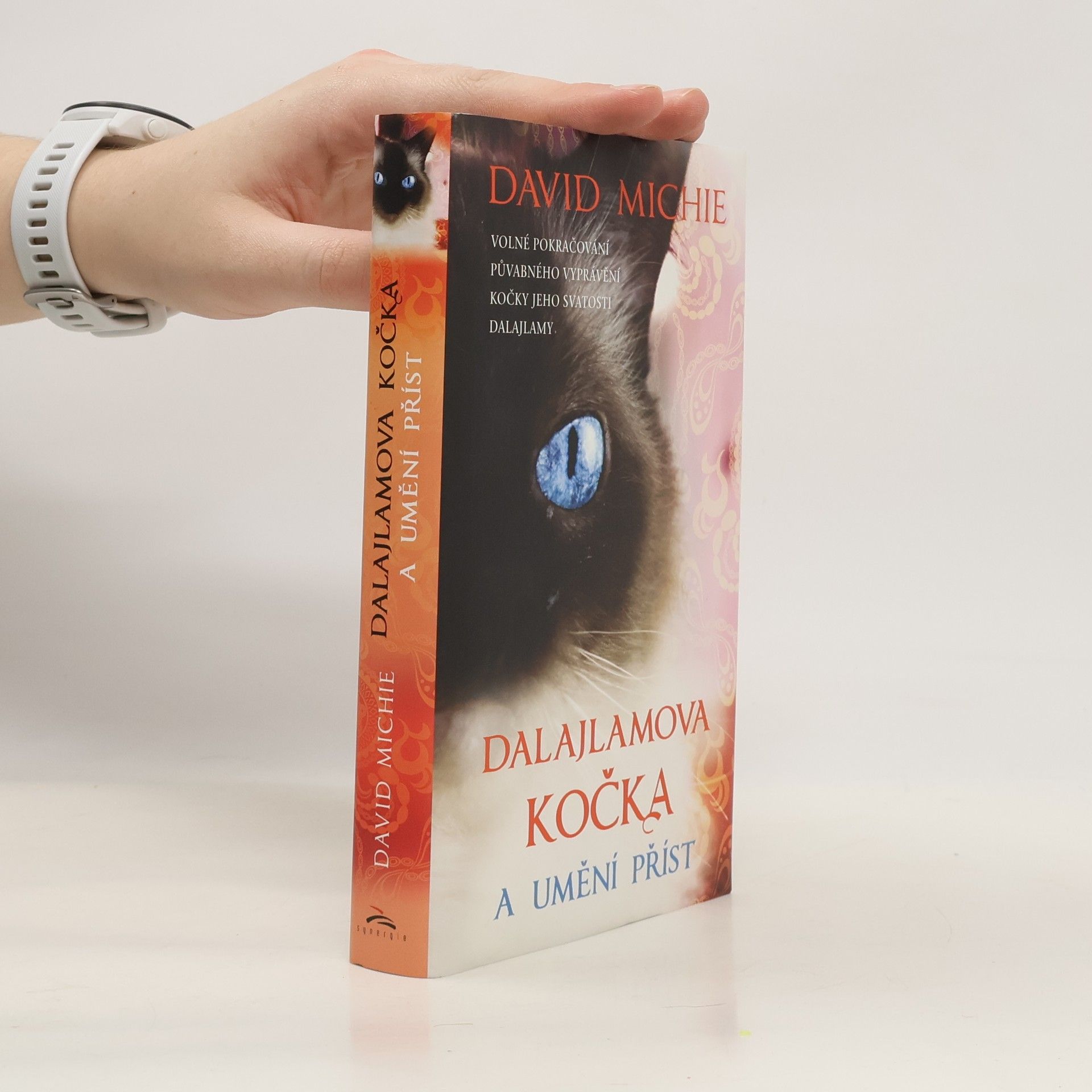 David Michie Dalajlamova kočka a umění příst