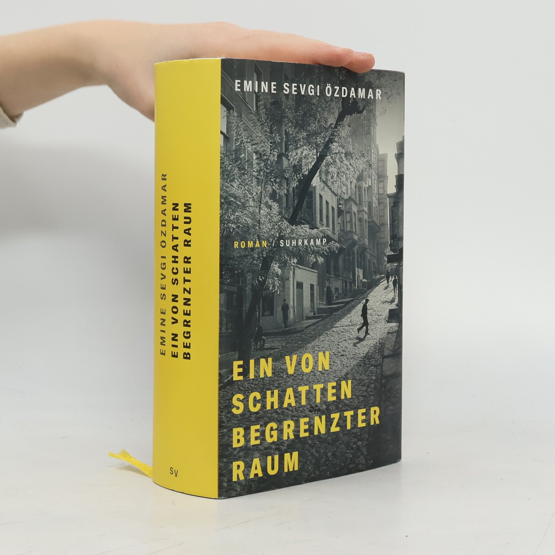 Emine Sevgi Özdamar Ein von Schatten begrenzter Raum