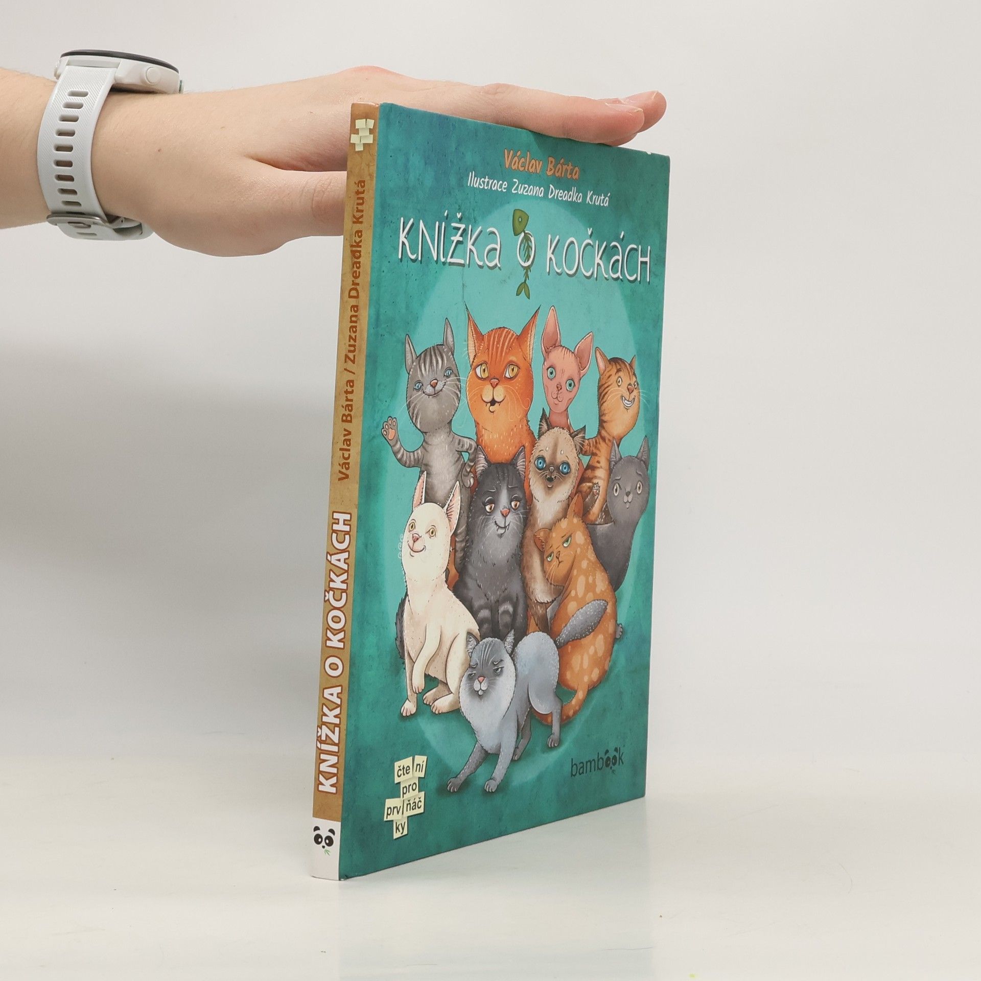Knížka o kočkách