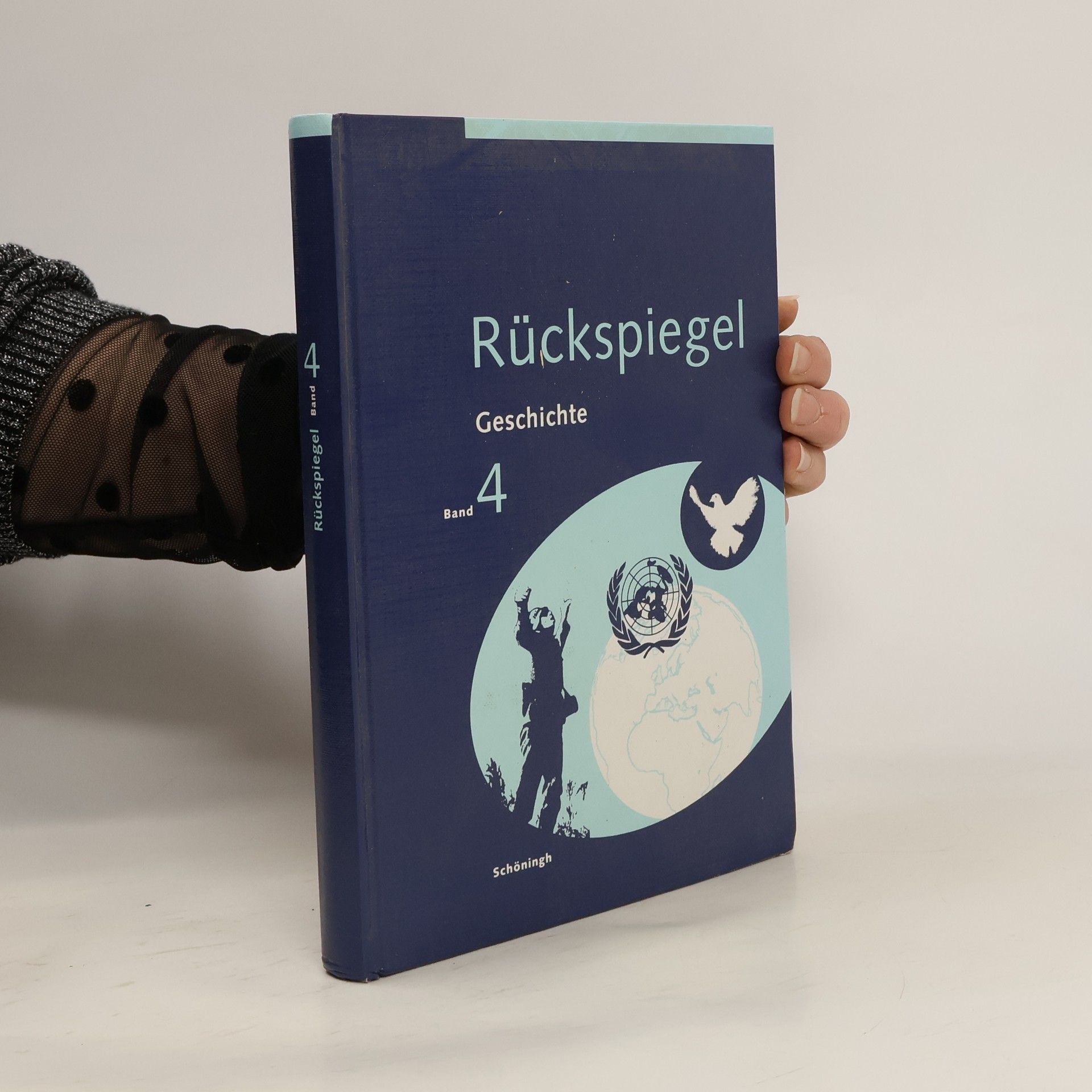 Hartwin Brandt Rückspiegel