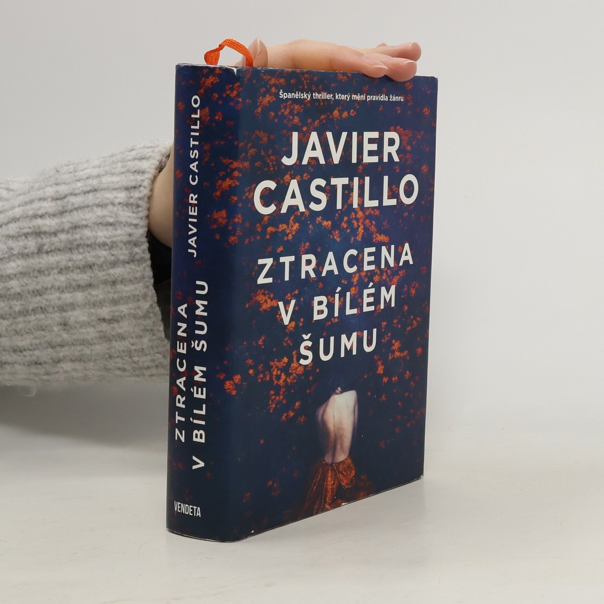 Javier Castillo Ztracena v bílém šumu