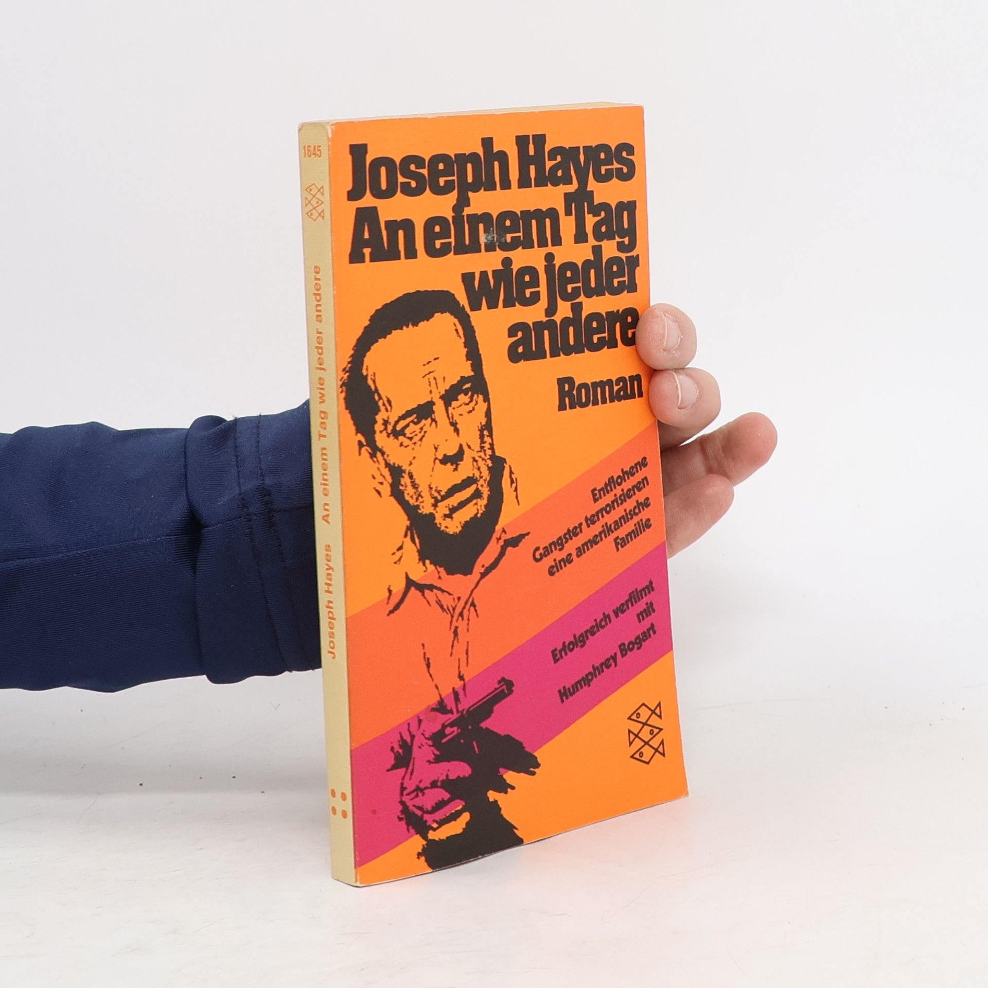 Joseph Hayes An einem Tag wie jeder andere