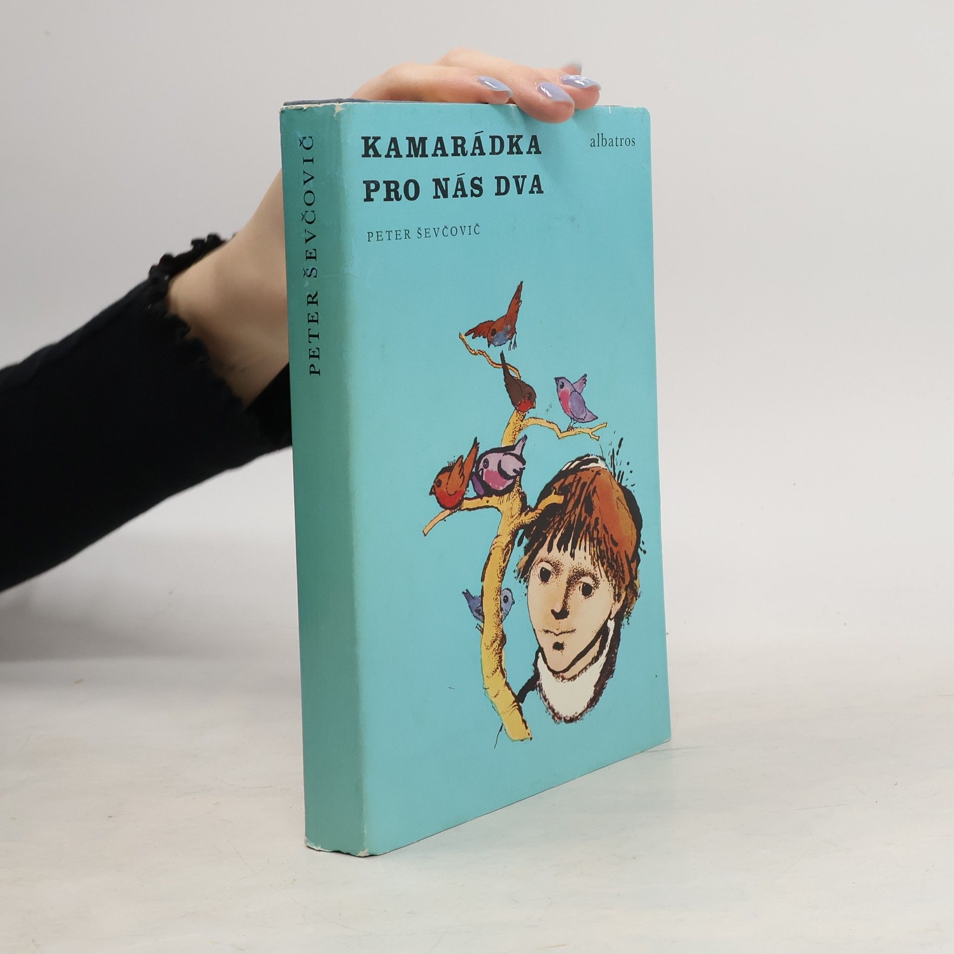 Kamarádka pro nás dva