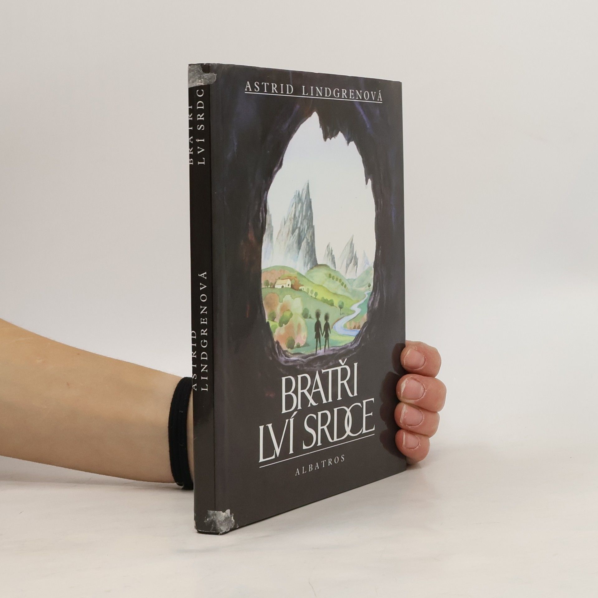 Astrid Lindgren Bratři Lví srdce