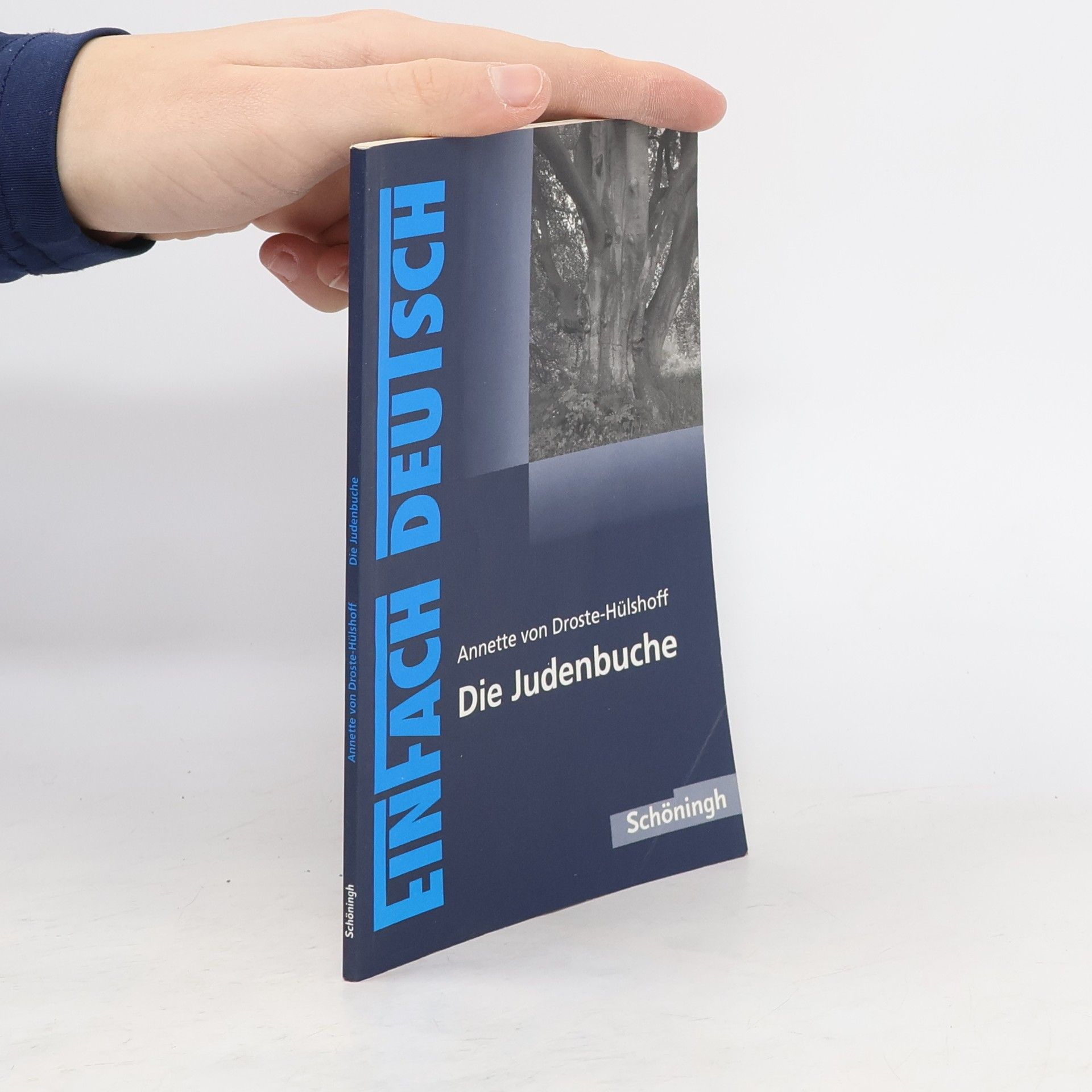 Die Judenbuche: Ein Sittengemälde aus dem gebirgigen Westfalen. EinFach Deutsch Textausgaben