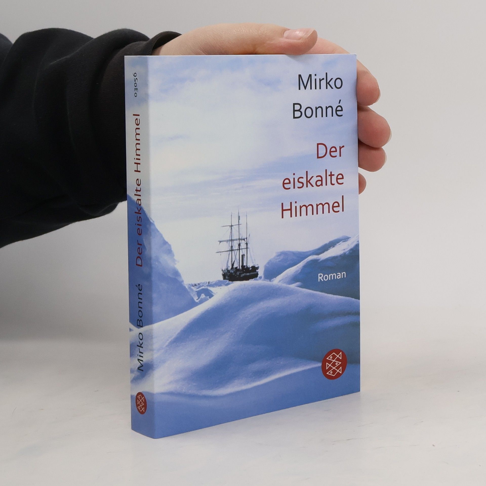 Mirko Bonné Der eiskalte Himmel