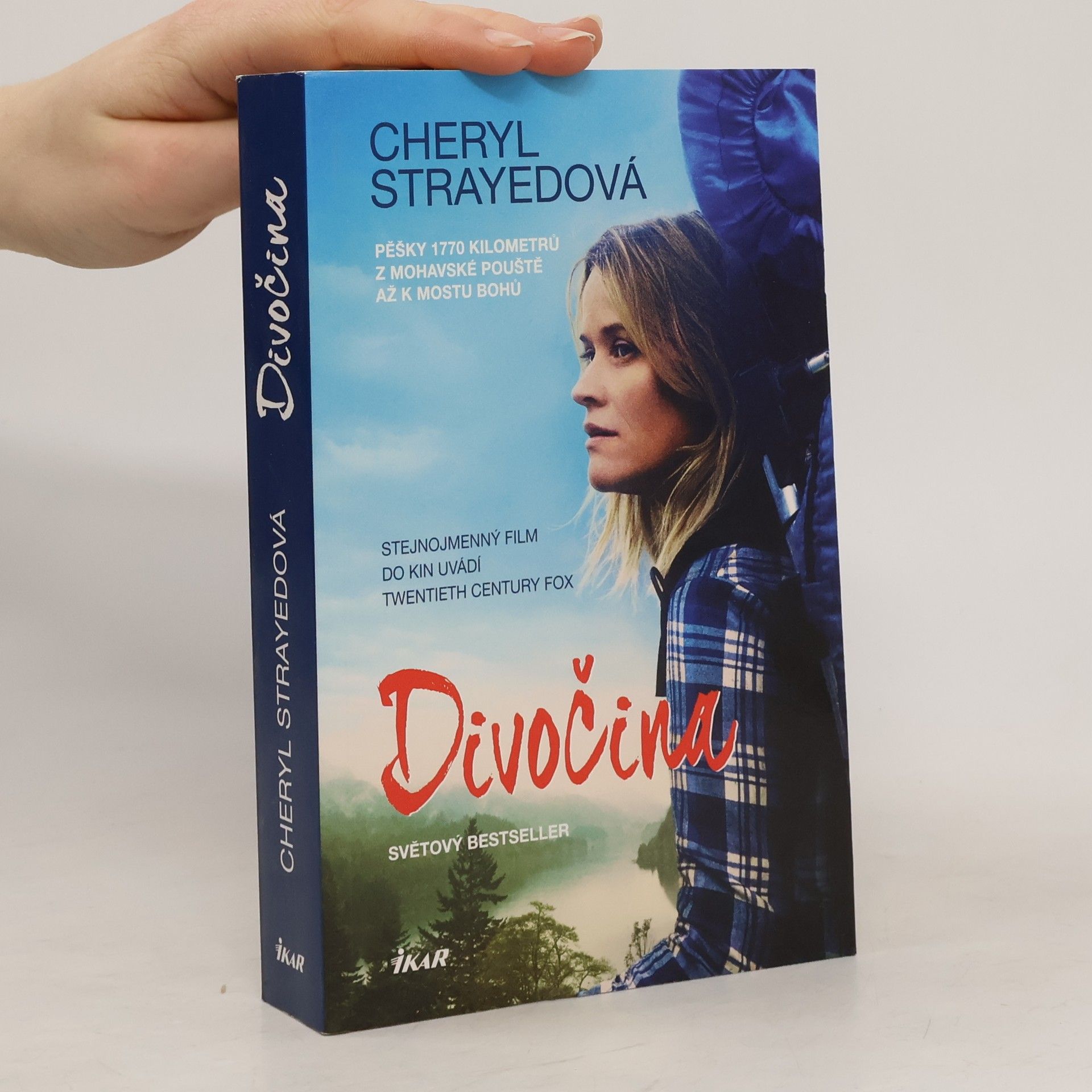 Cheryl Strayed Divočina. Pěšky 1770 kilometrů z Mohavské pouště až k mostu bohů