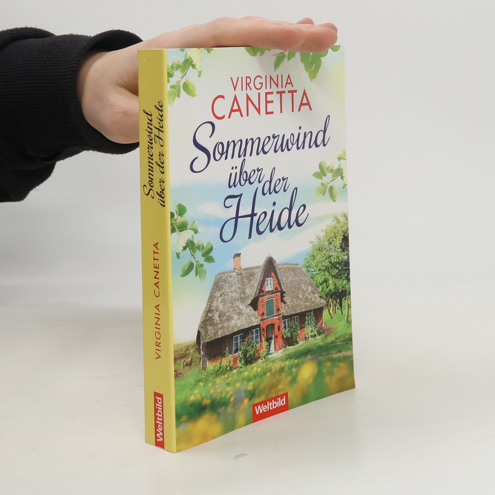 Sommerwind über der Heide