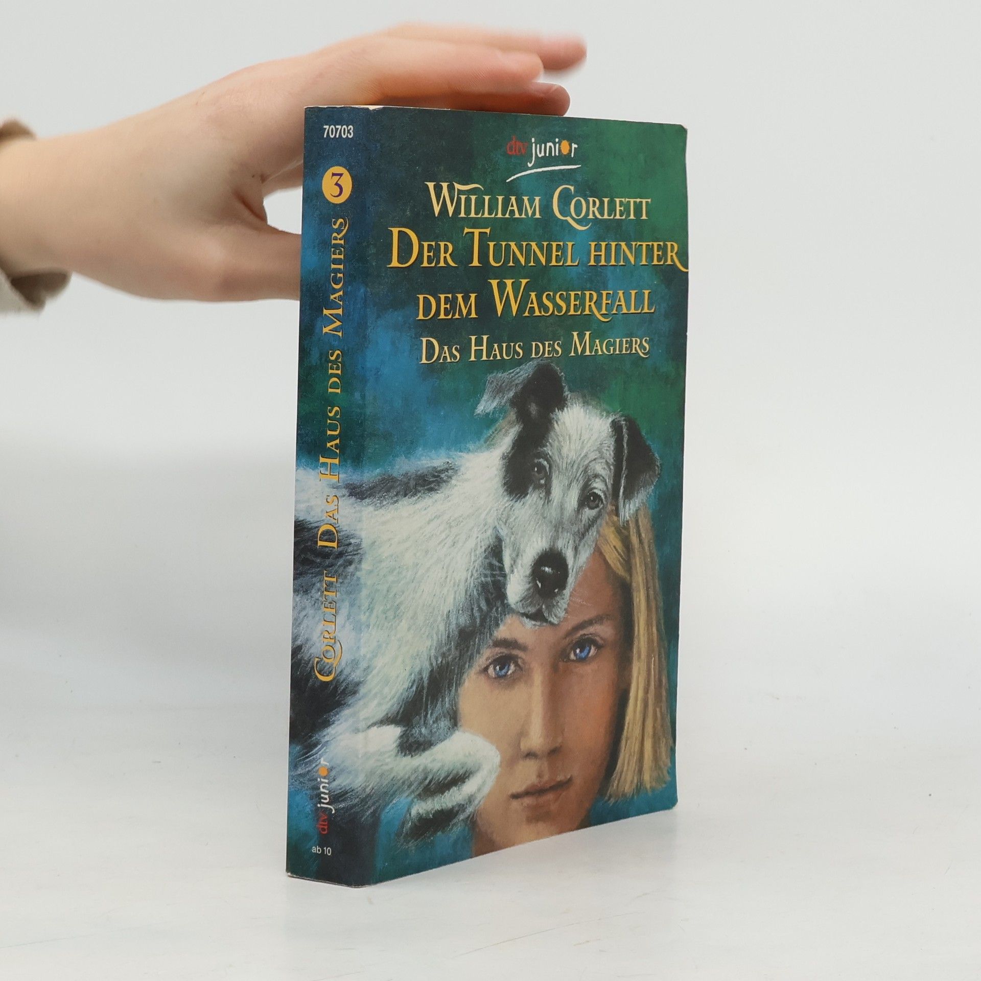 William Corlett Der Tunnel hinter dem Wasserfall