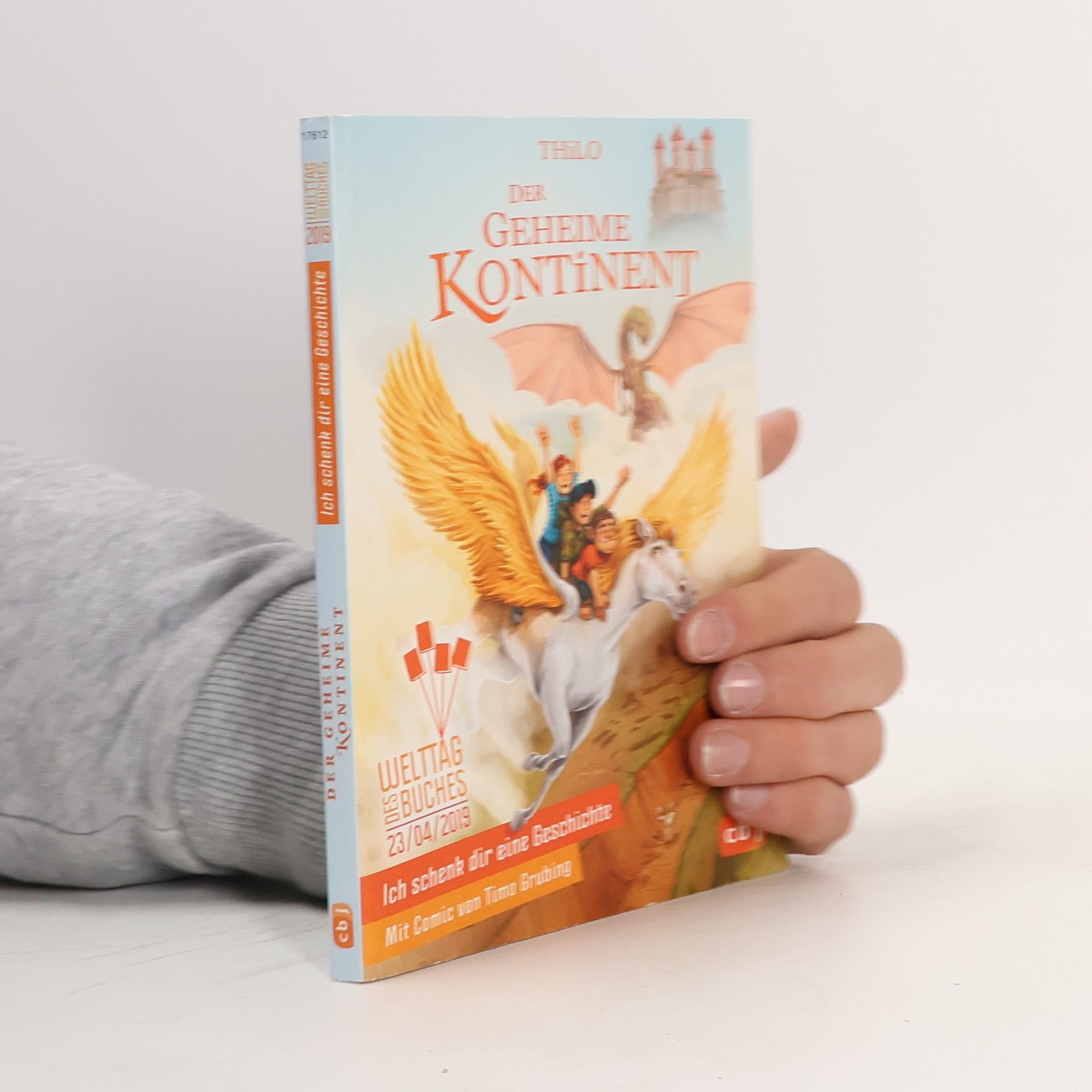 Ich schenk dir eine Geschichte. Der geheime Kontinent