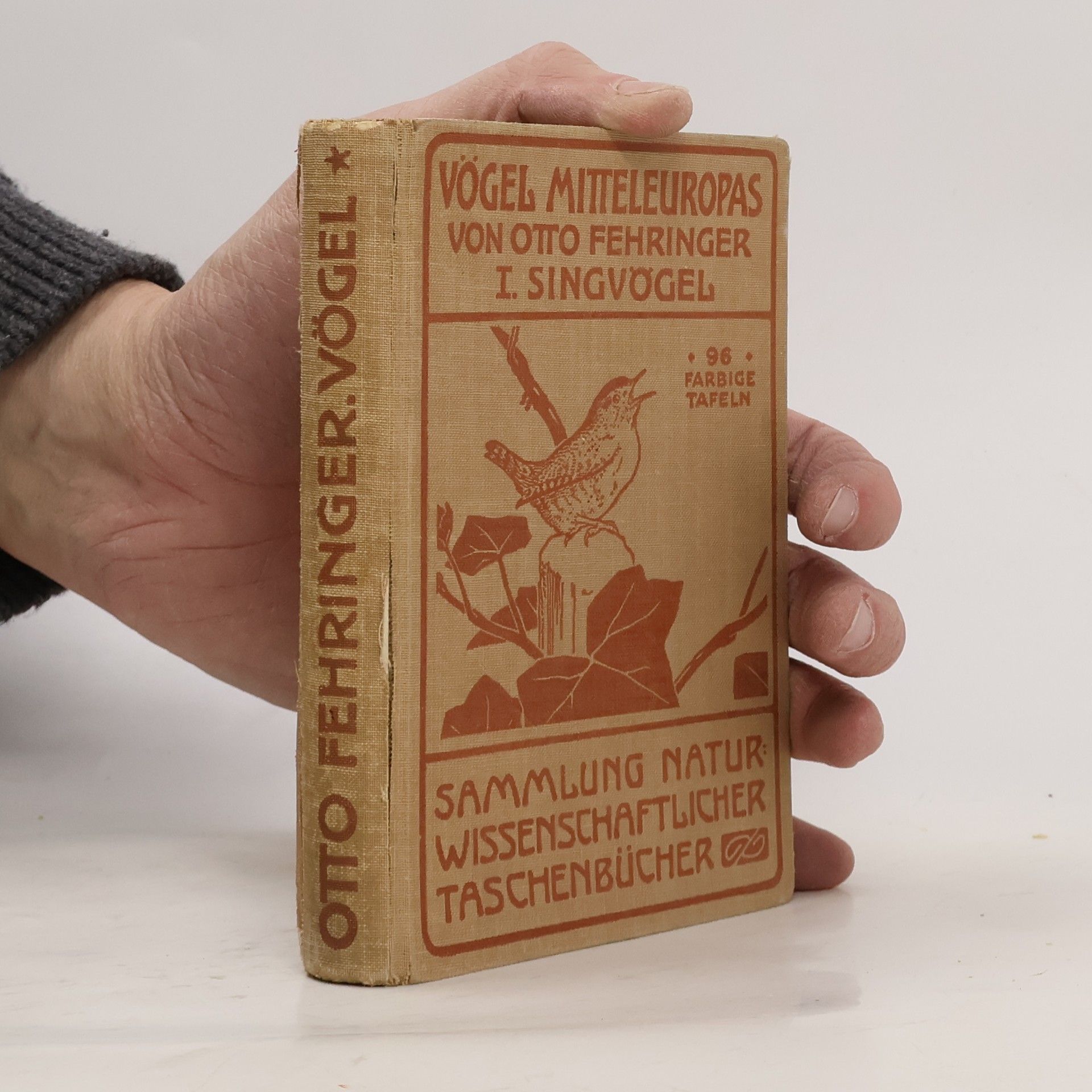 Otto Fehringer Die Singvögel Mitteleuropas