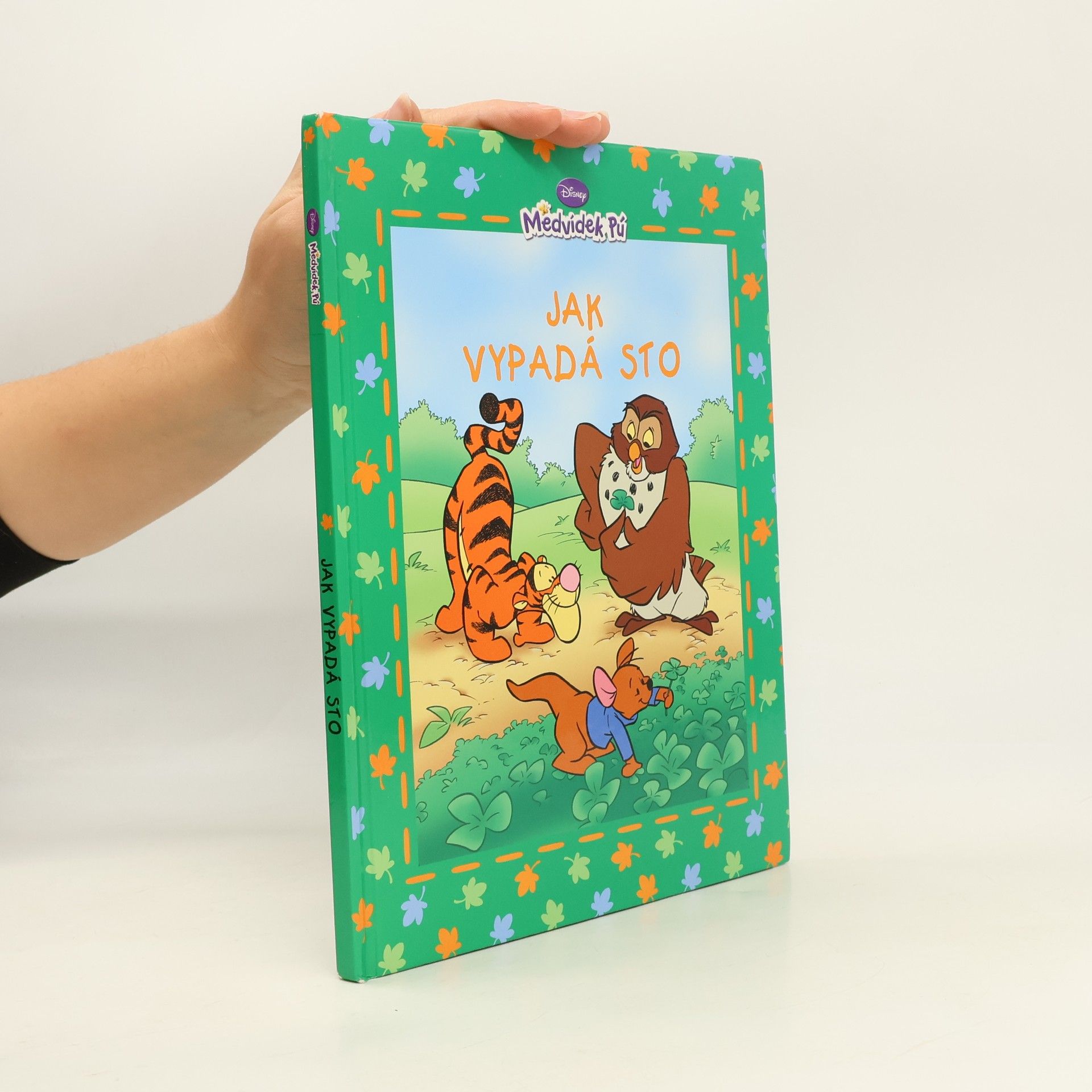 Walt Disney Medvídek Pú - Jak vypadá sto