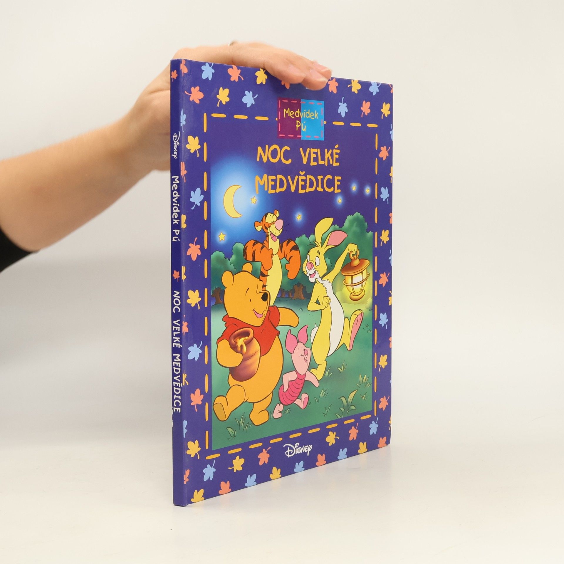 Noc velké medvědice