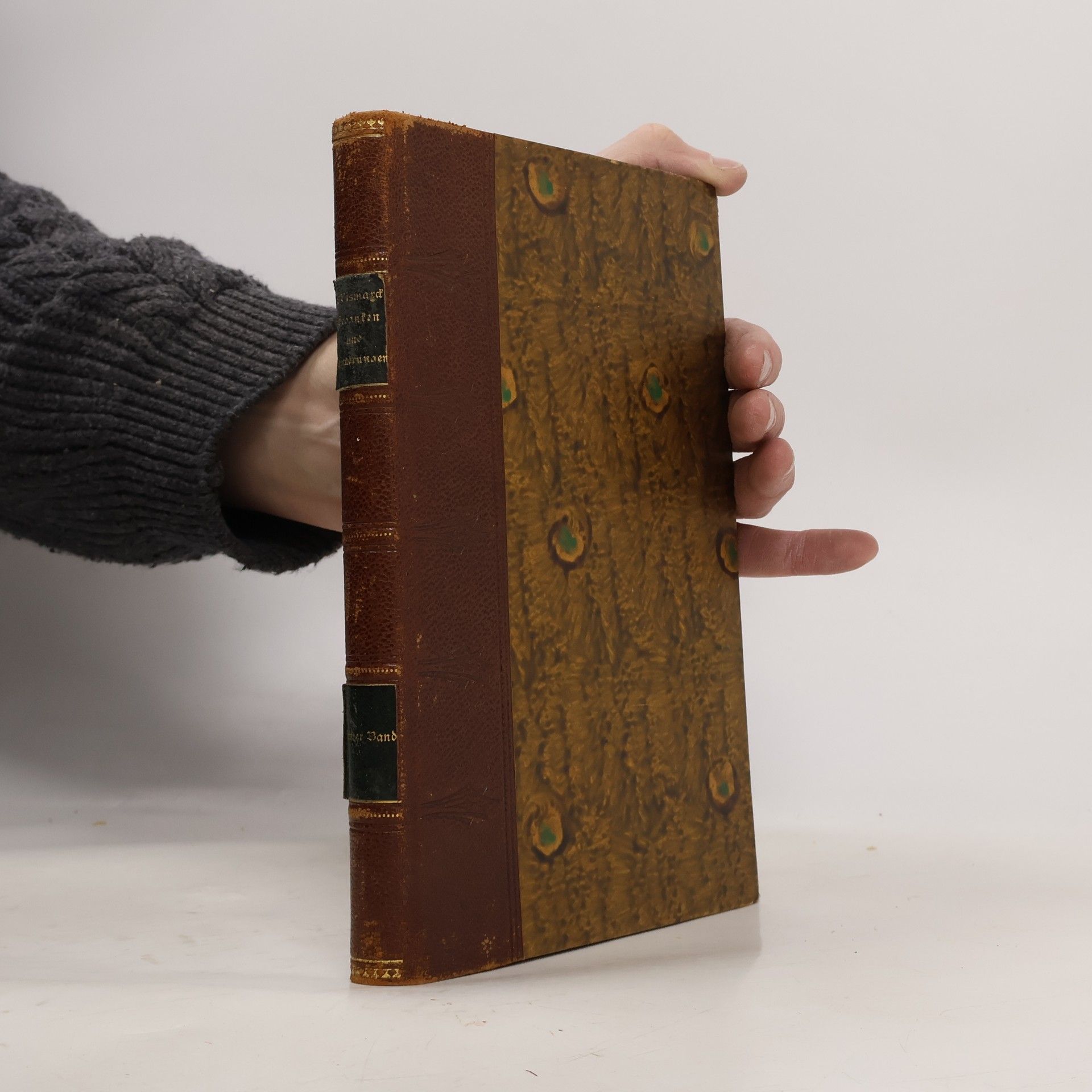 Fürst Otto v. Bismarck Erinnerung und Gedanke