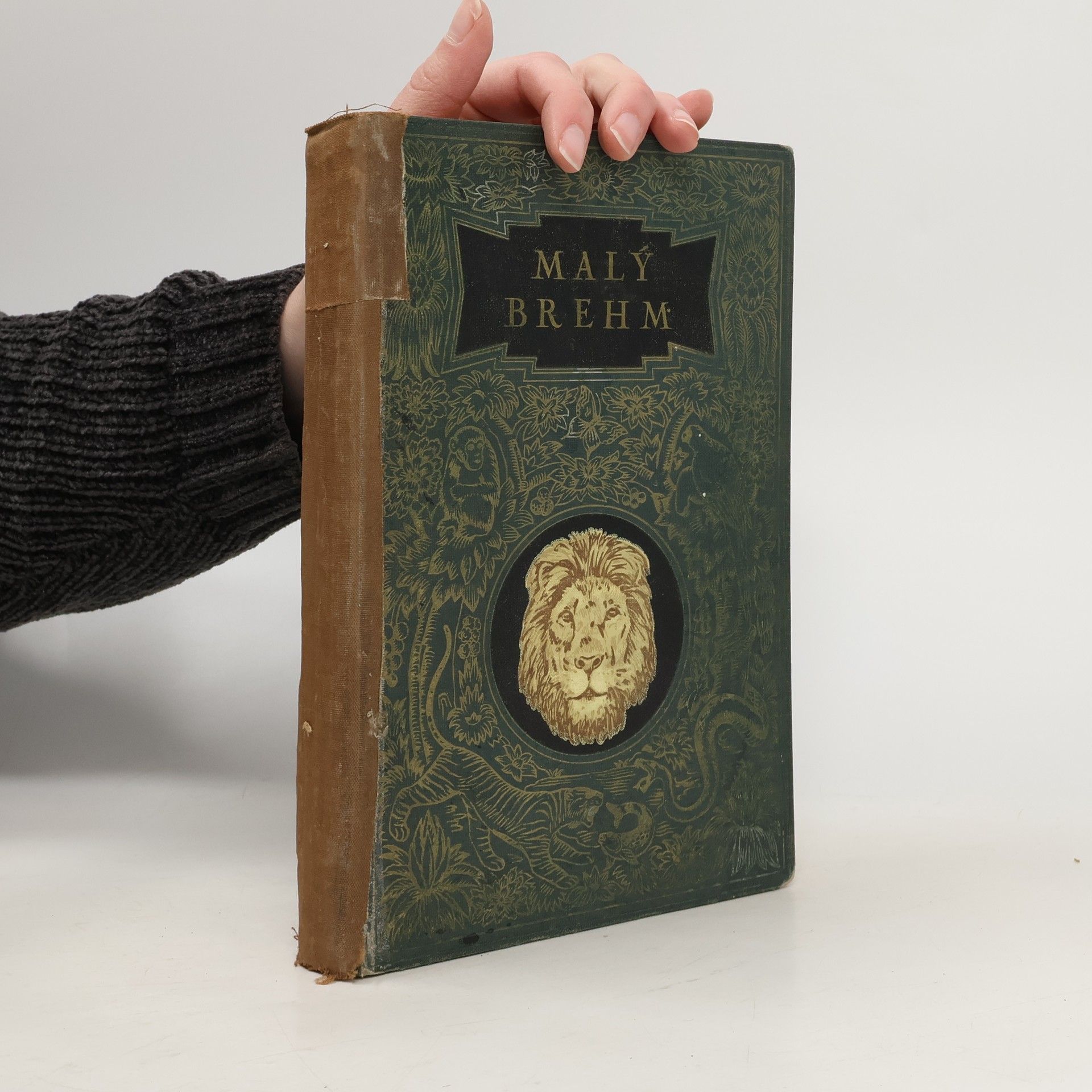 Bohuslav Záborský Malý Brehm II