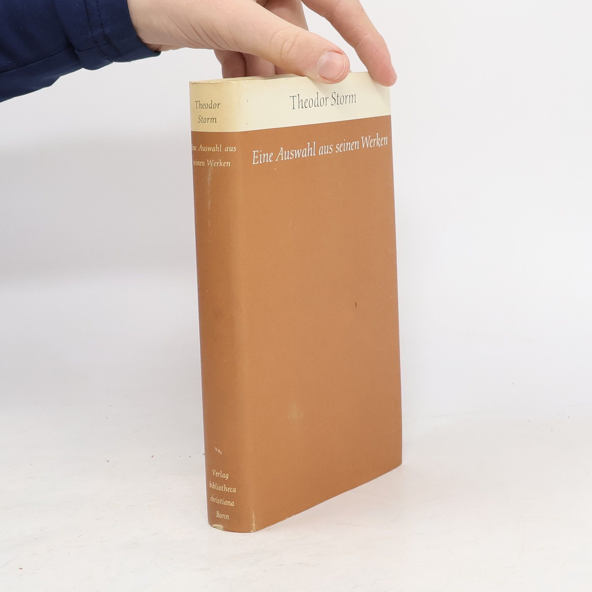 Theodor Storm Eine Auswahl aus seinen Werken