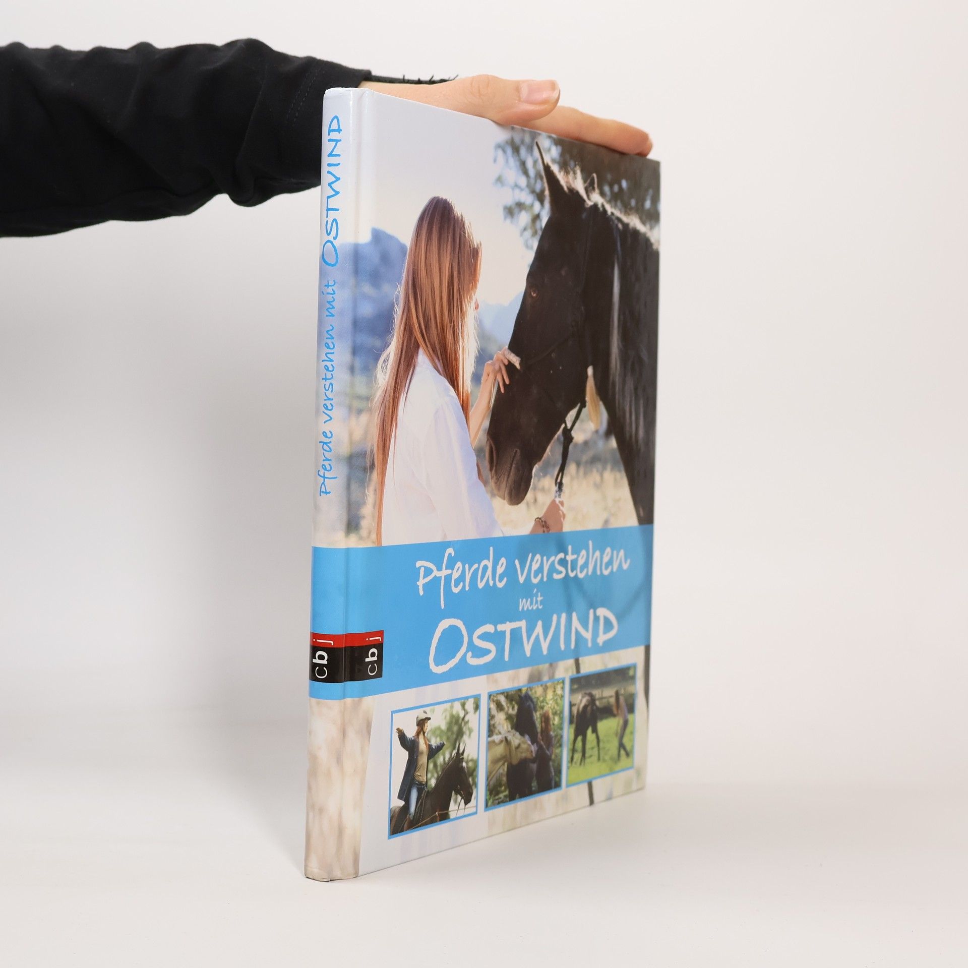 Pferde verstehen mit Ostwind