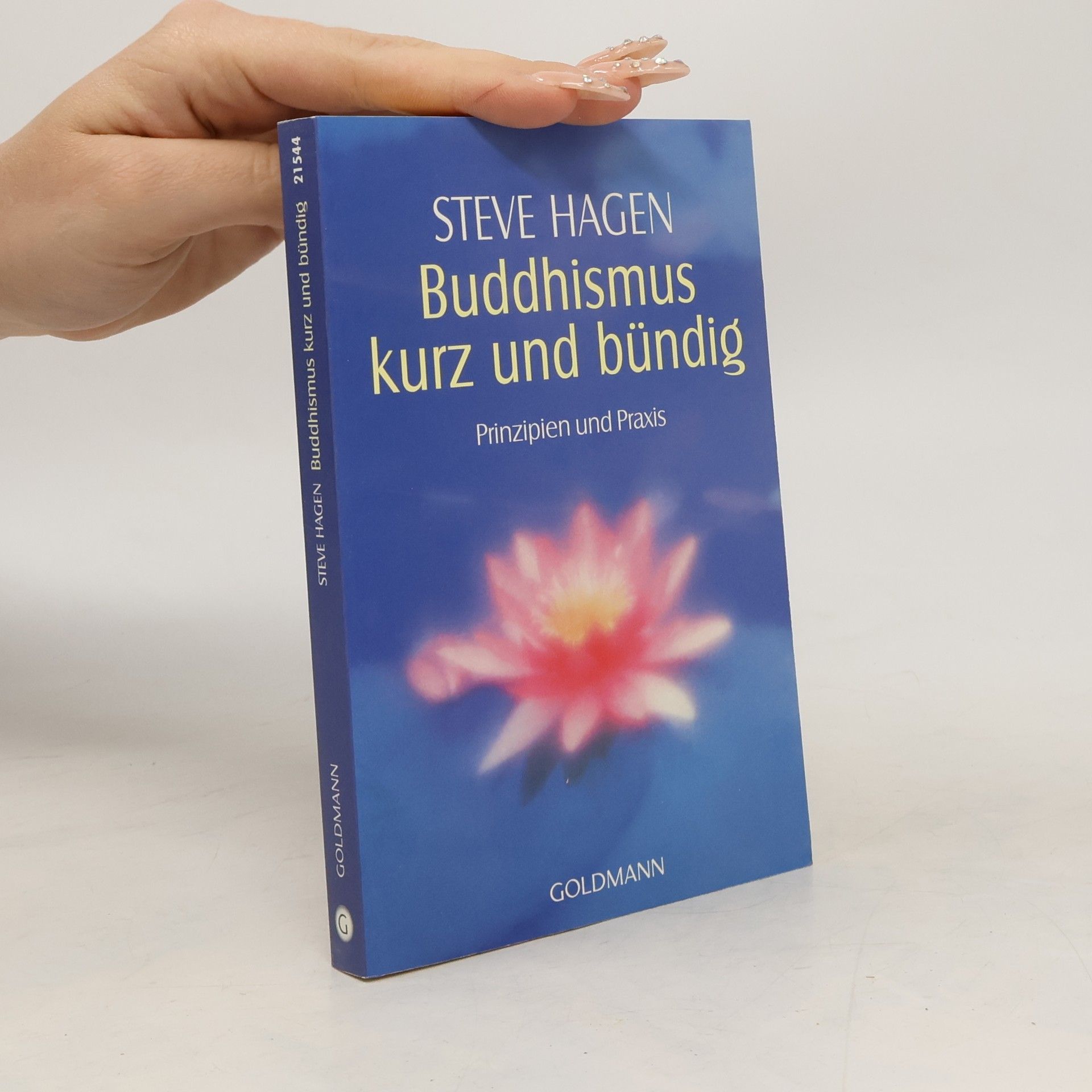 Steve Hagen Buddhismus kurz und bündig