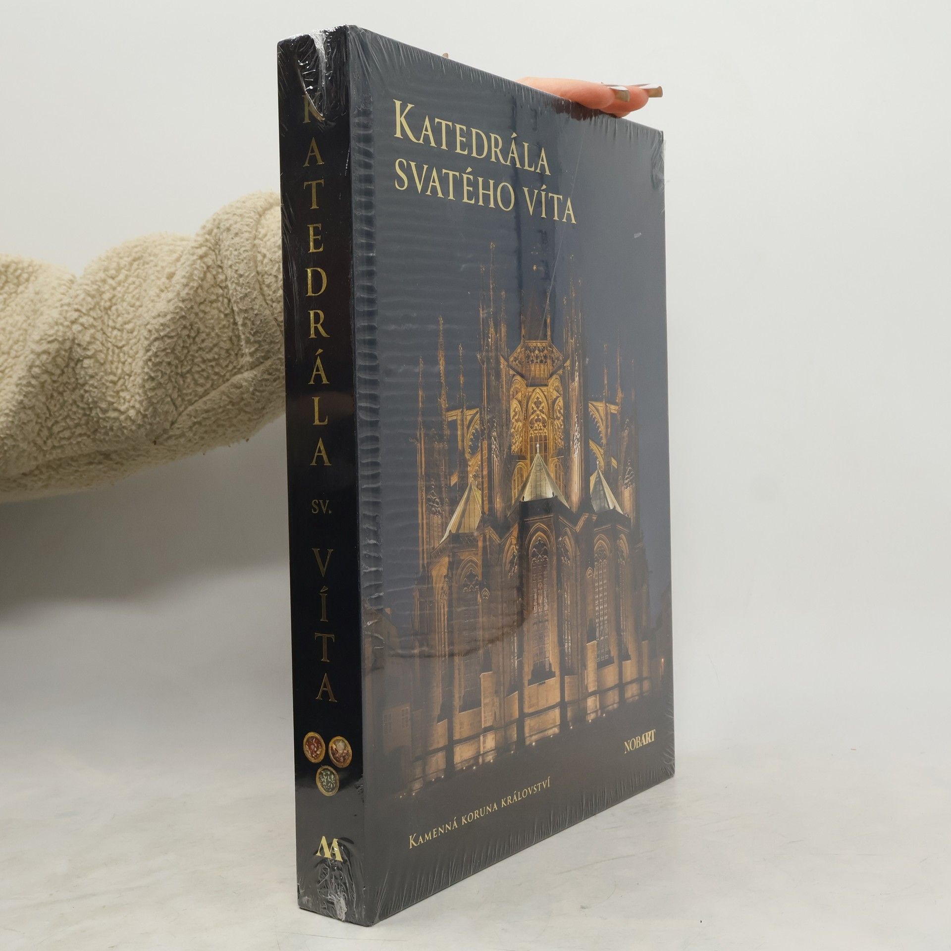 Katedrála svatého Víta