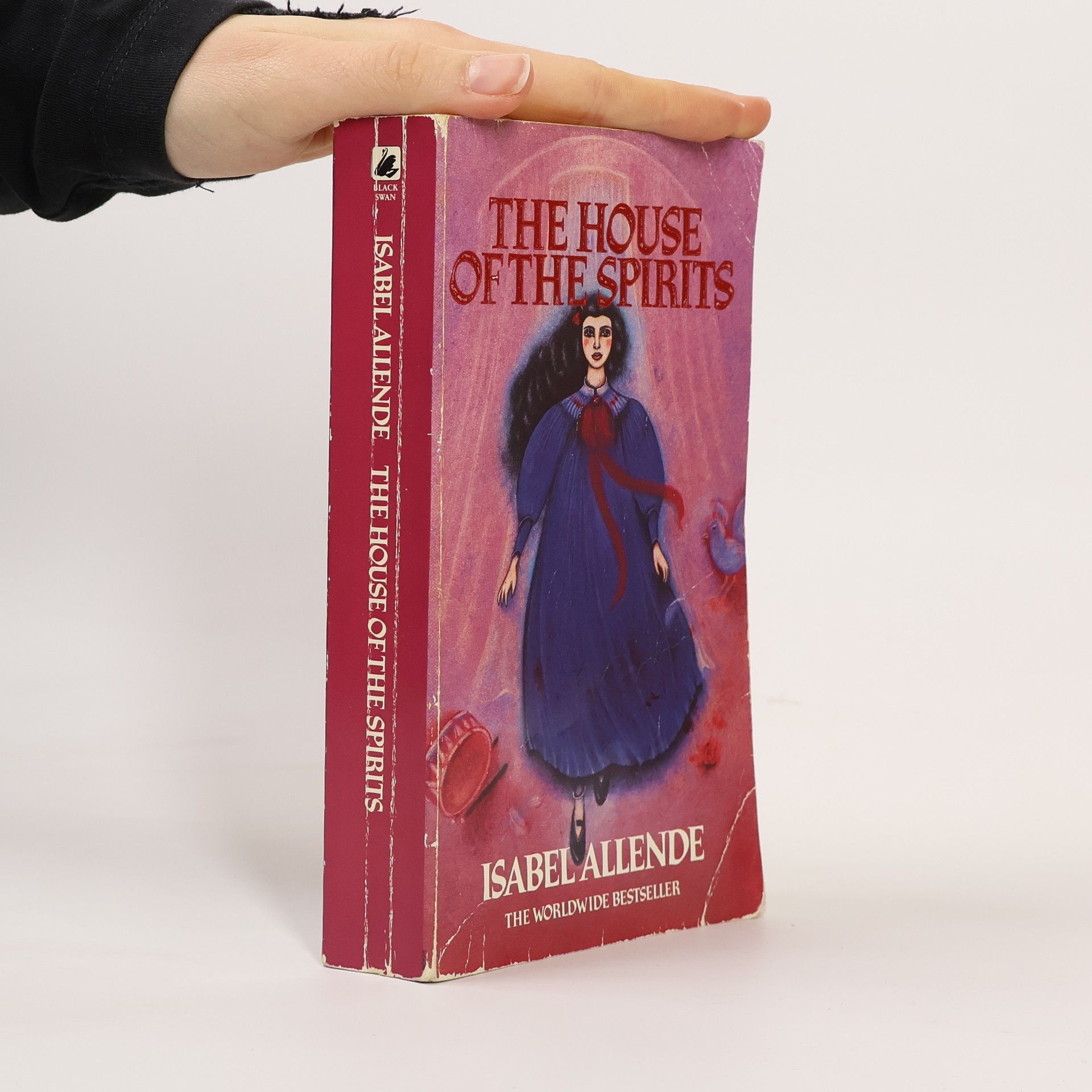 Isabel Allende The House of the Spirits